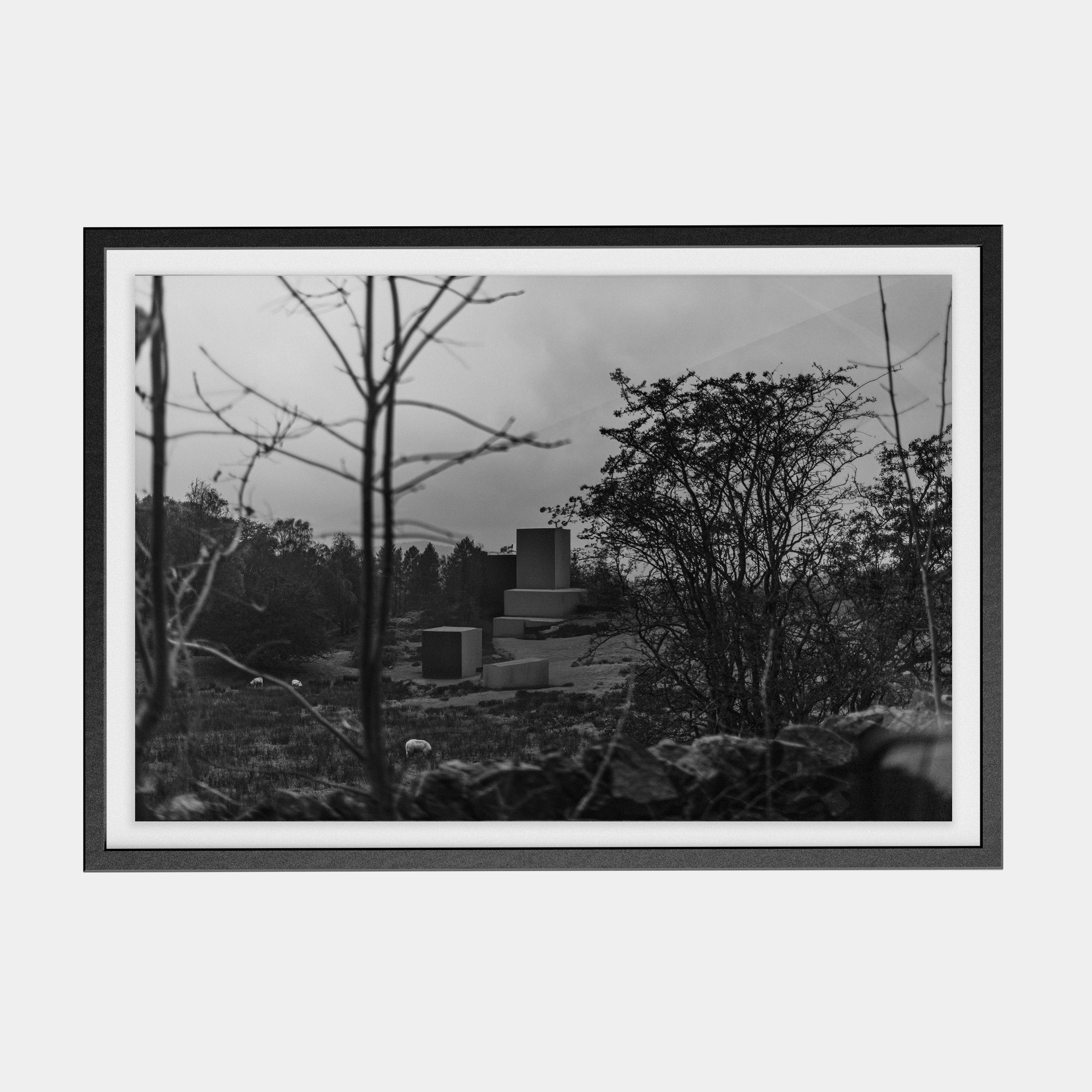 Points Estate (02) photographic print