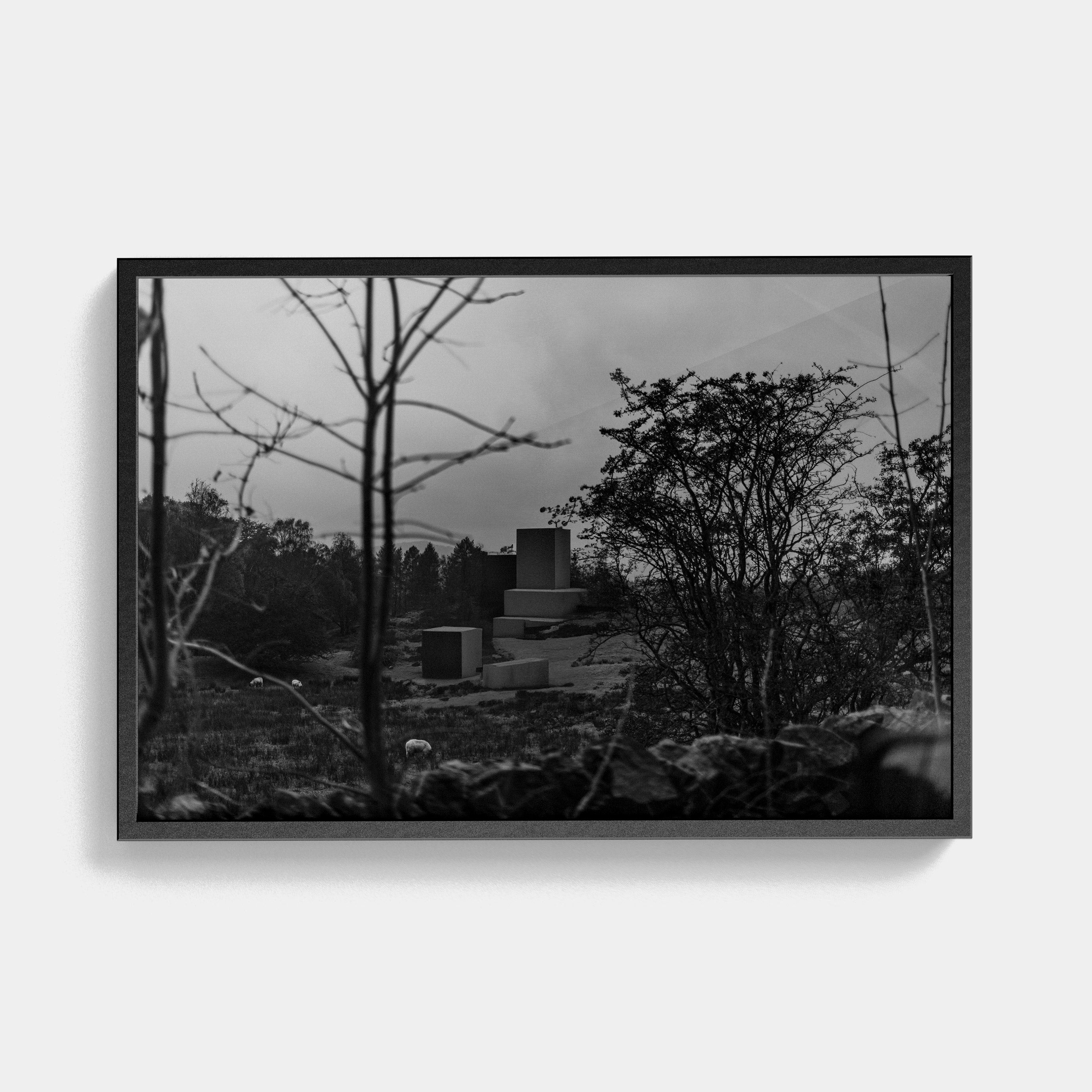 Points Estate (02) photographic print