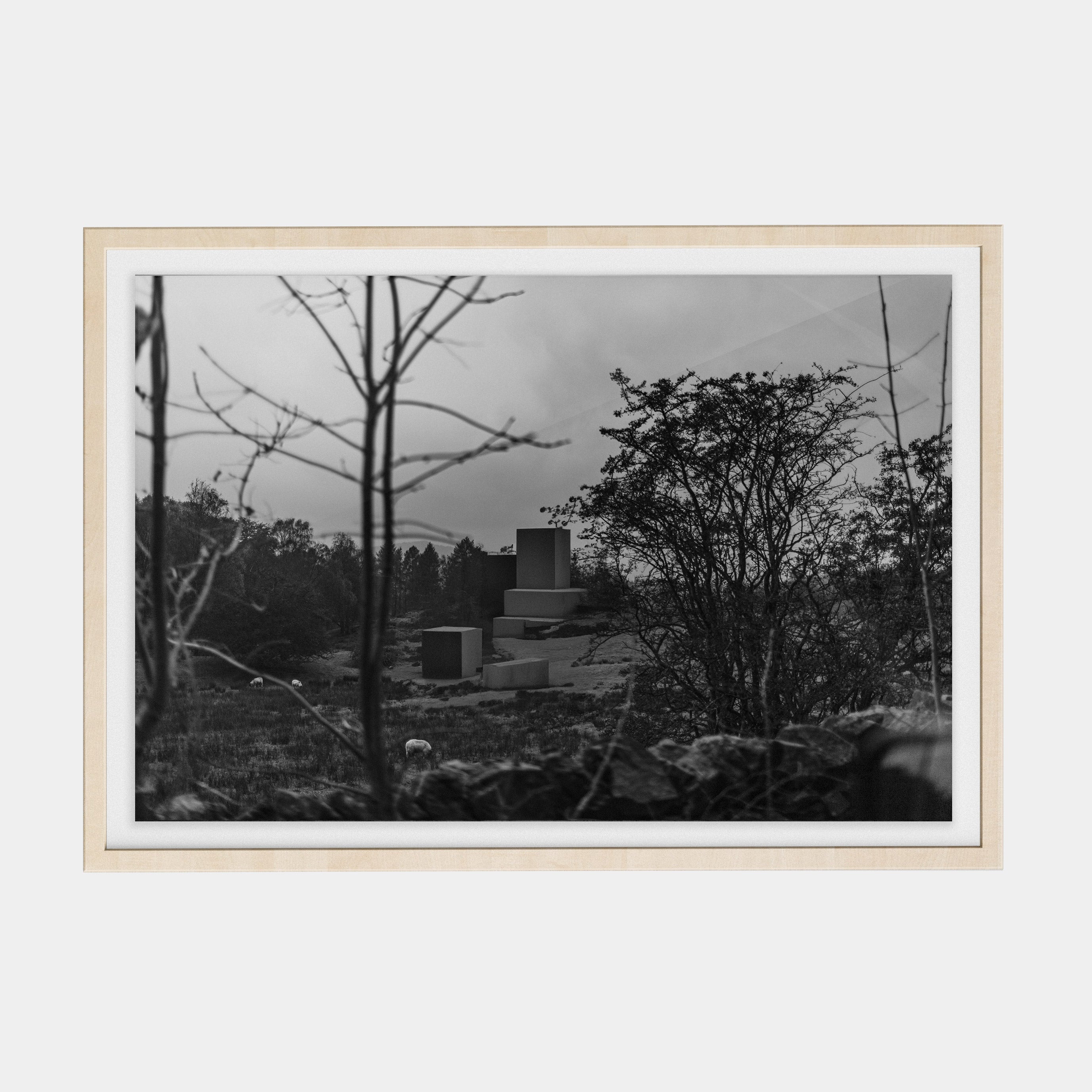 Points Estate (02) photographic print