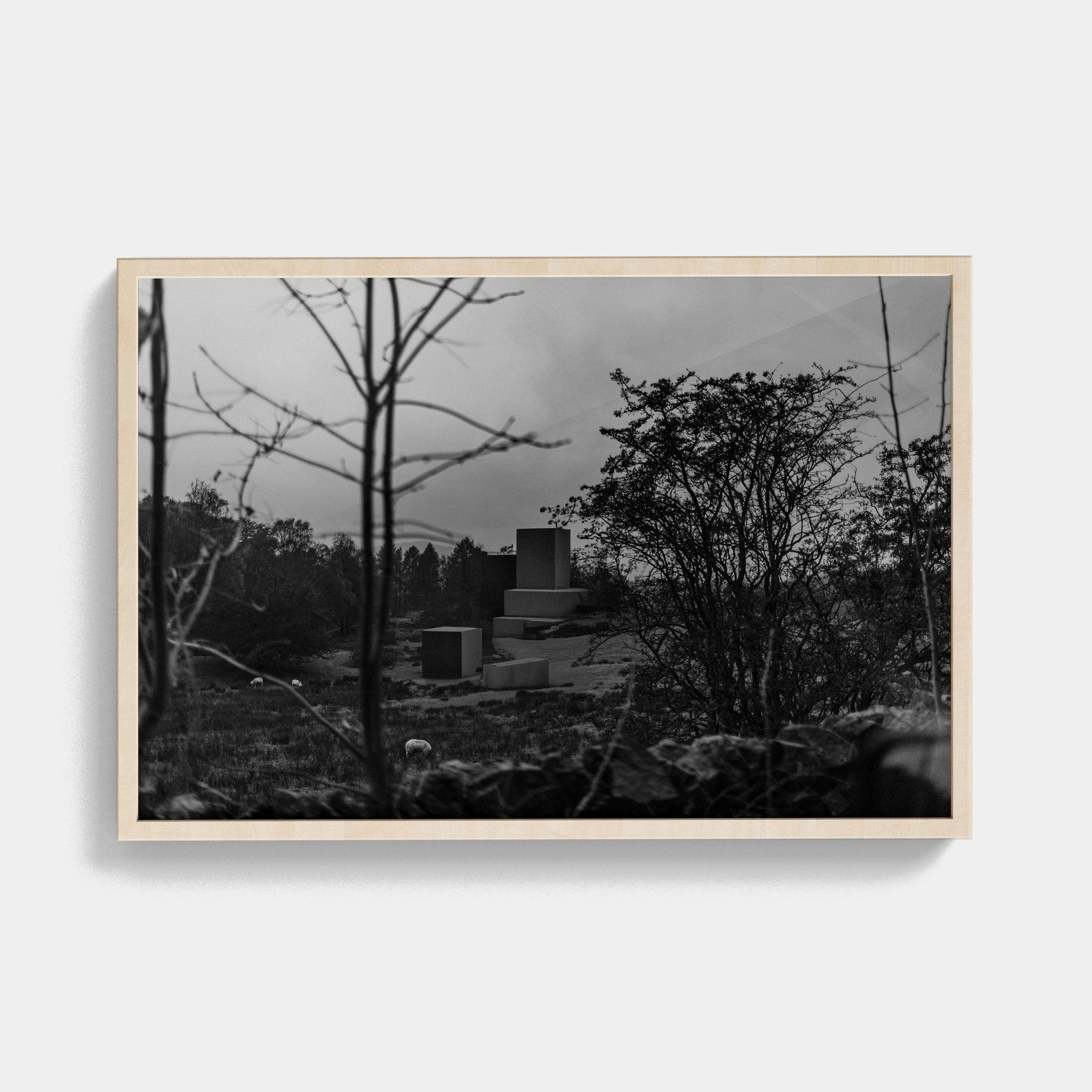 Points Estate (02) photographic print
