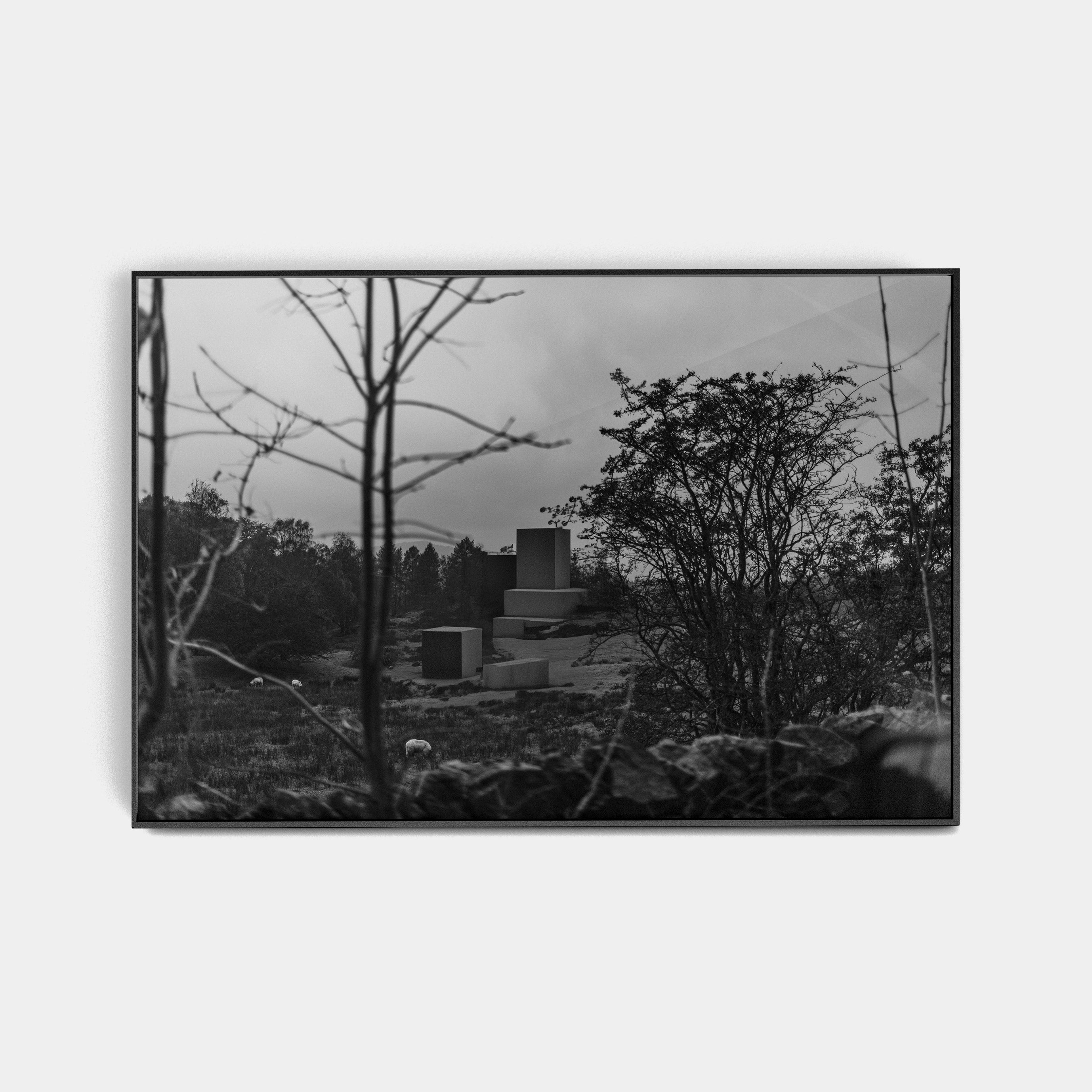 Points Estate (02) photographic print