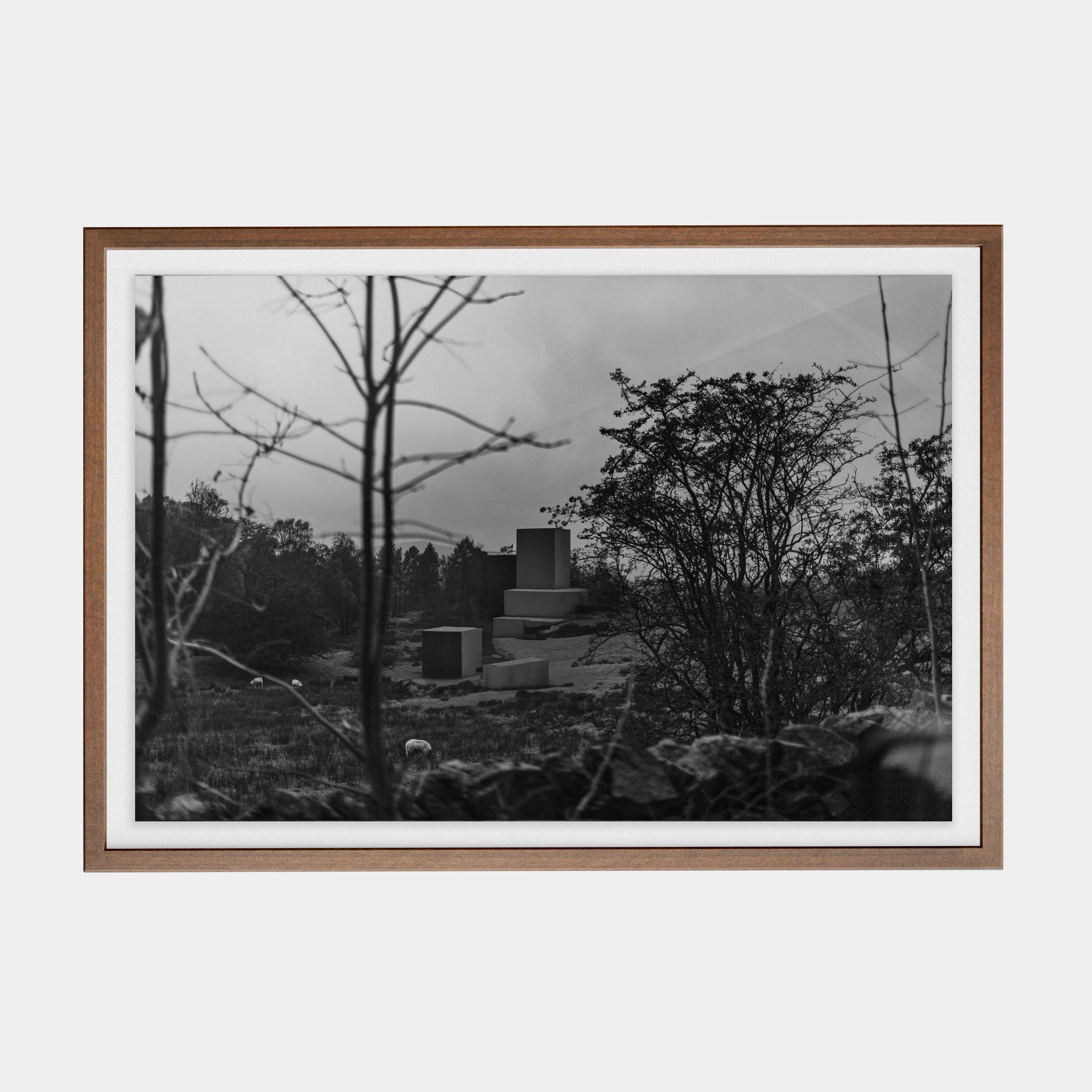 Points Estate (02) photographic print