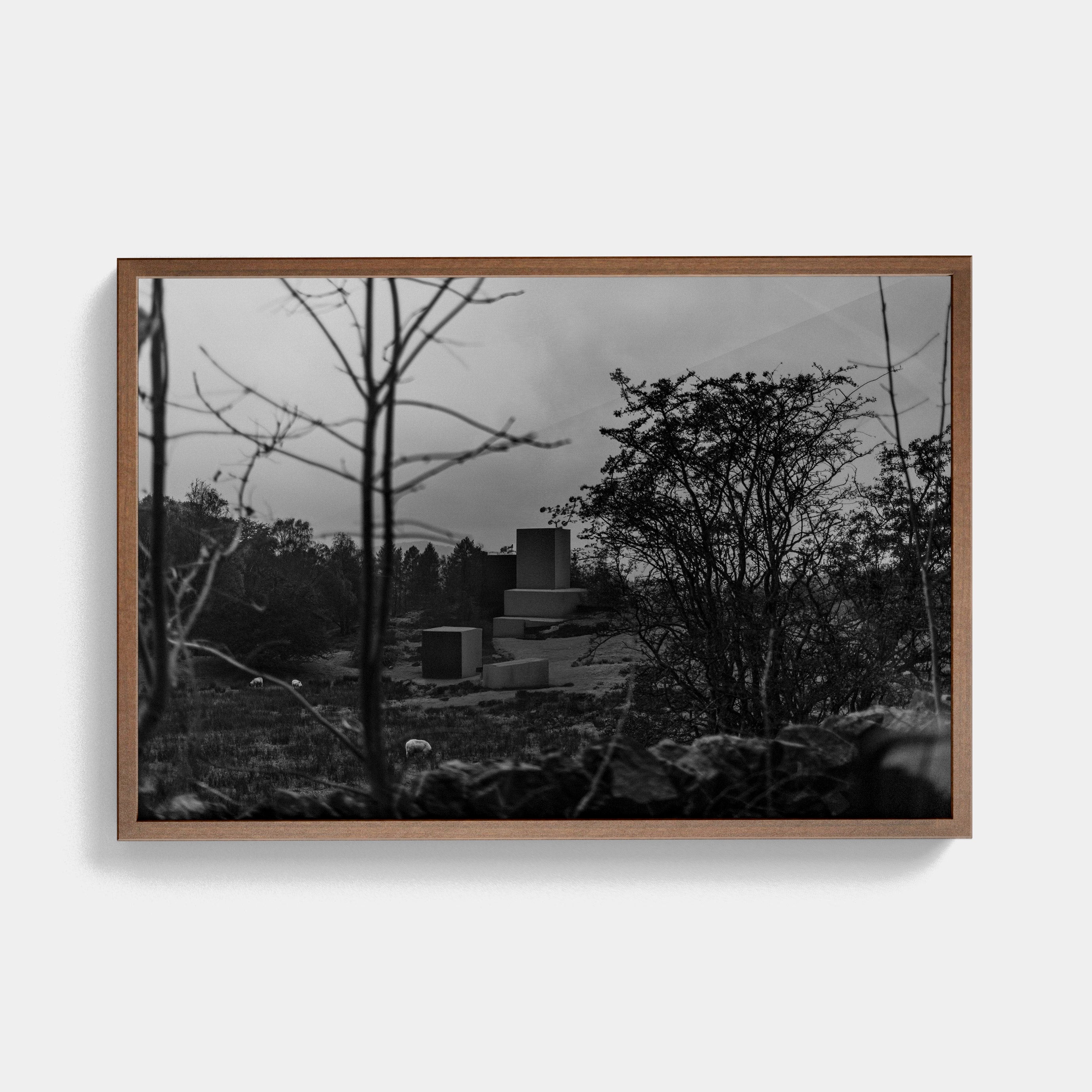 Points Estate (02) photographic print