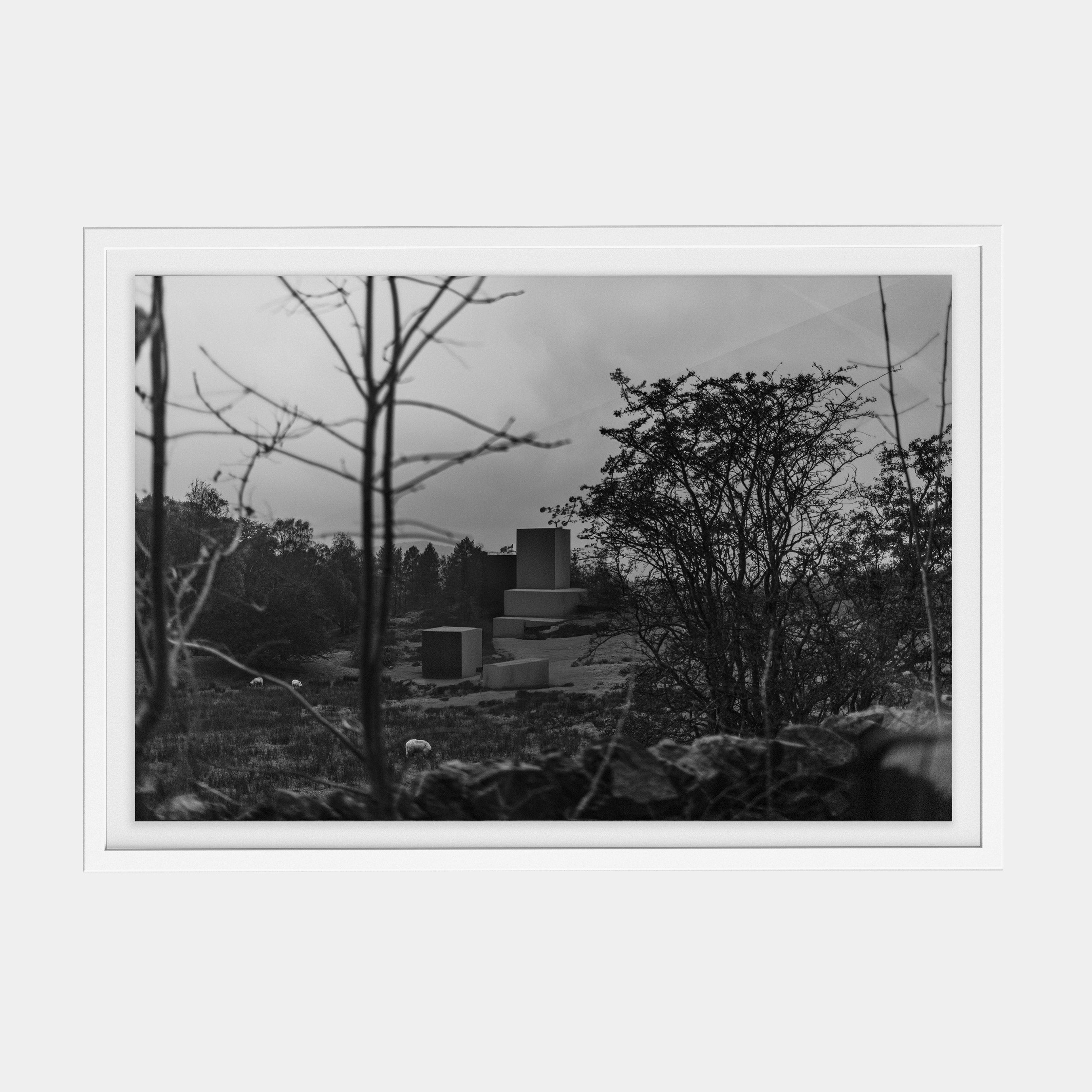 Points Estate (02) photographic print