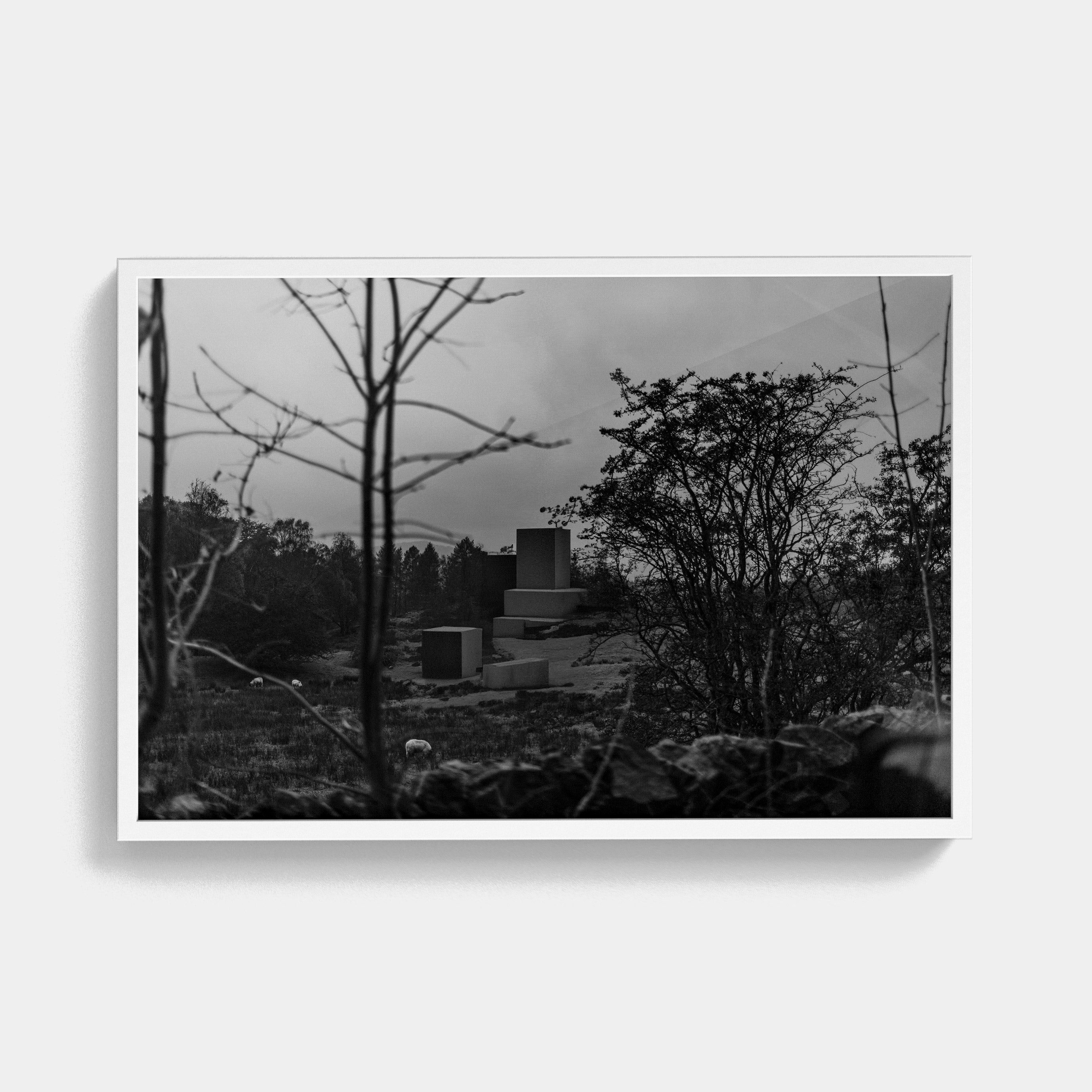 Points Estate (02) photographic print