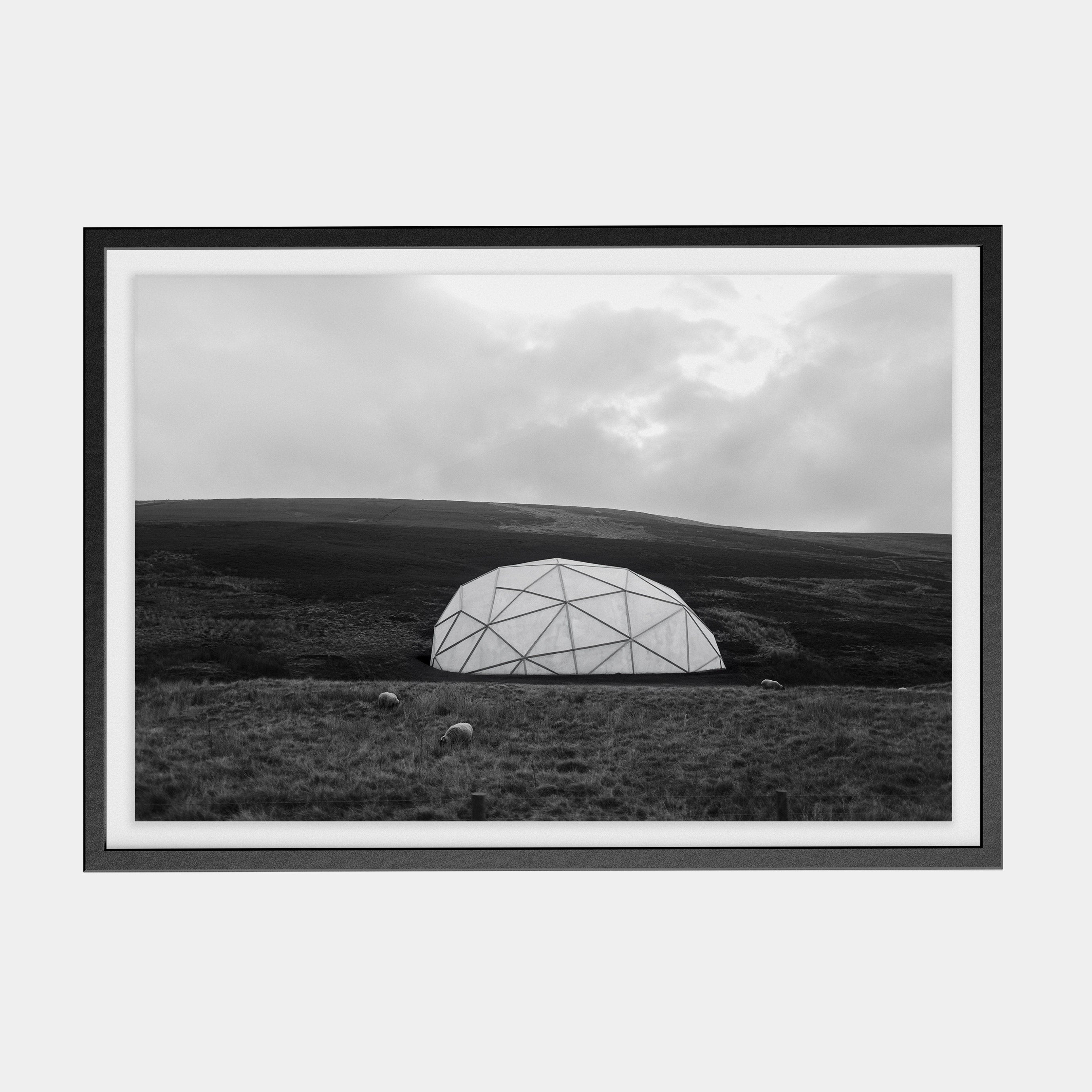 Points Estate (07) photographic print