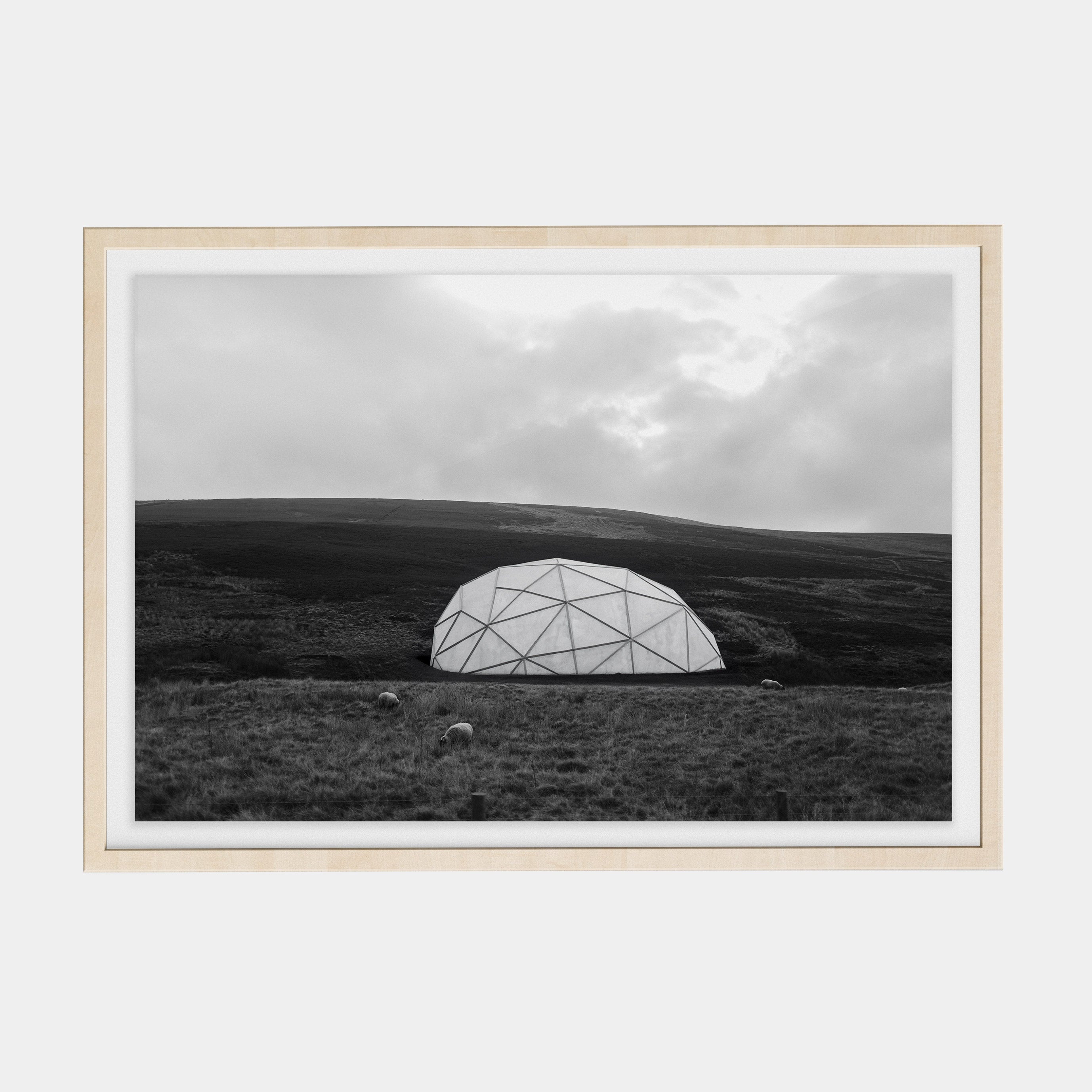 Points Estate (07) photographic print