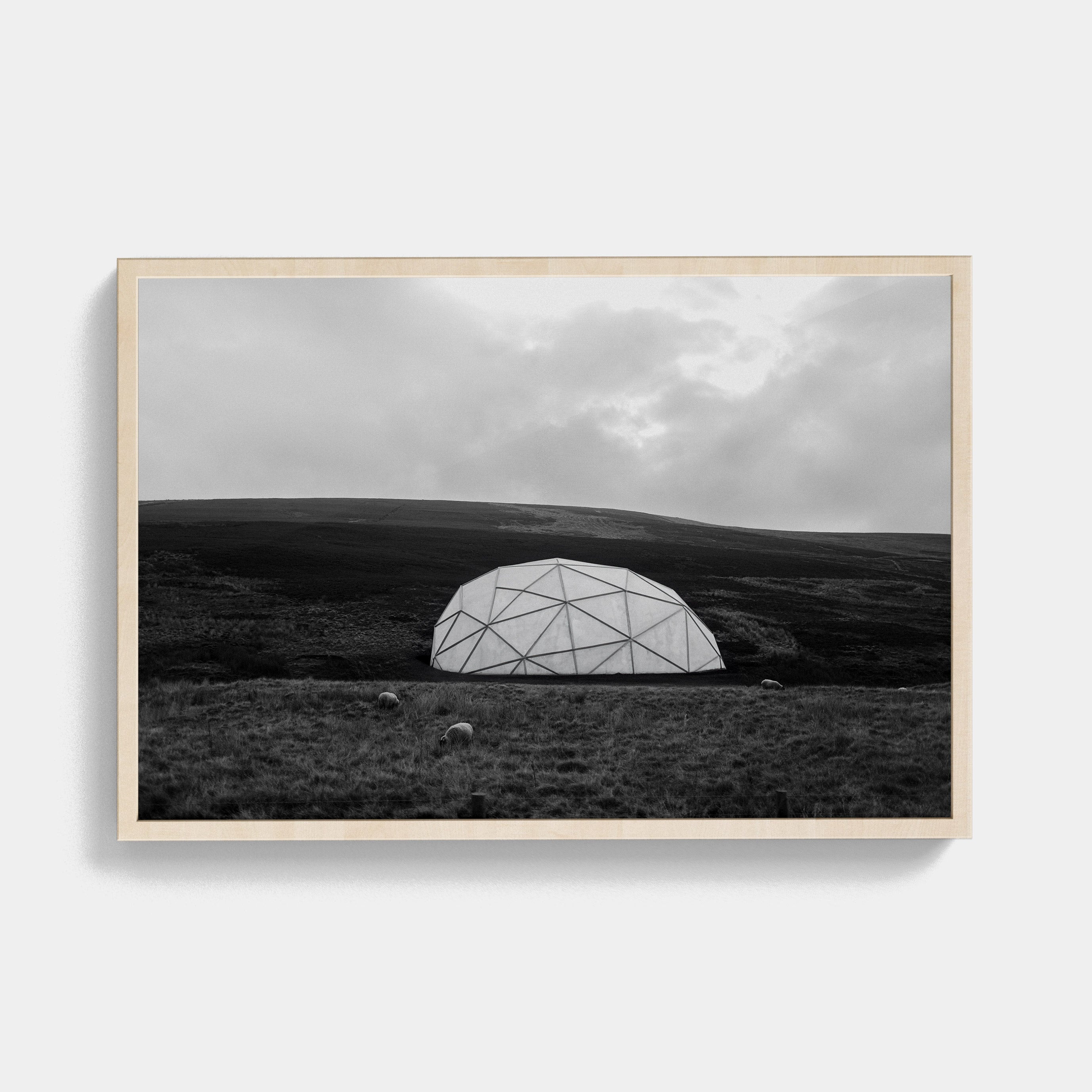 Points Estate (07) photographic print