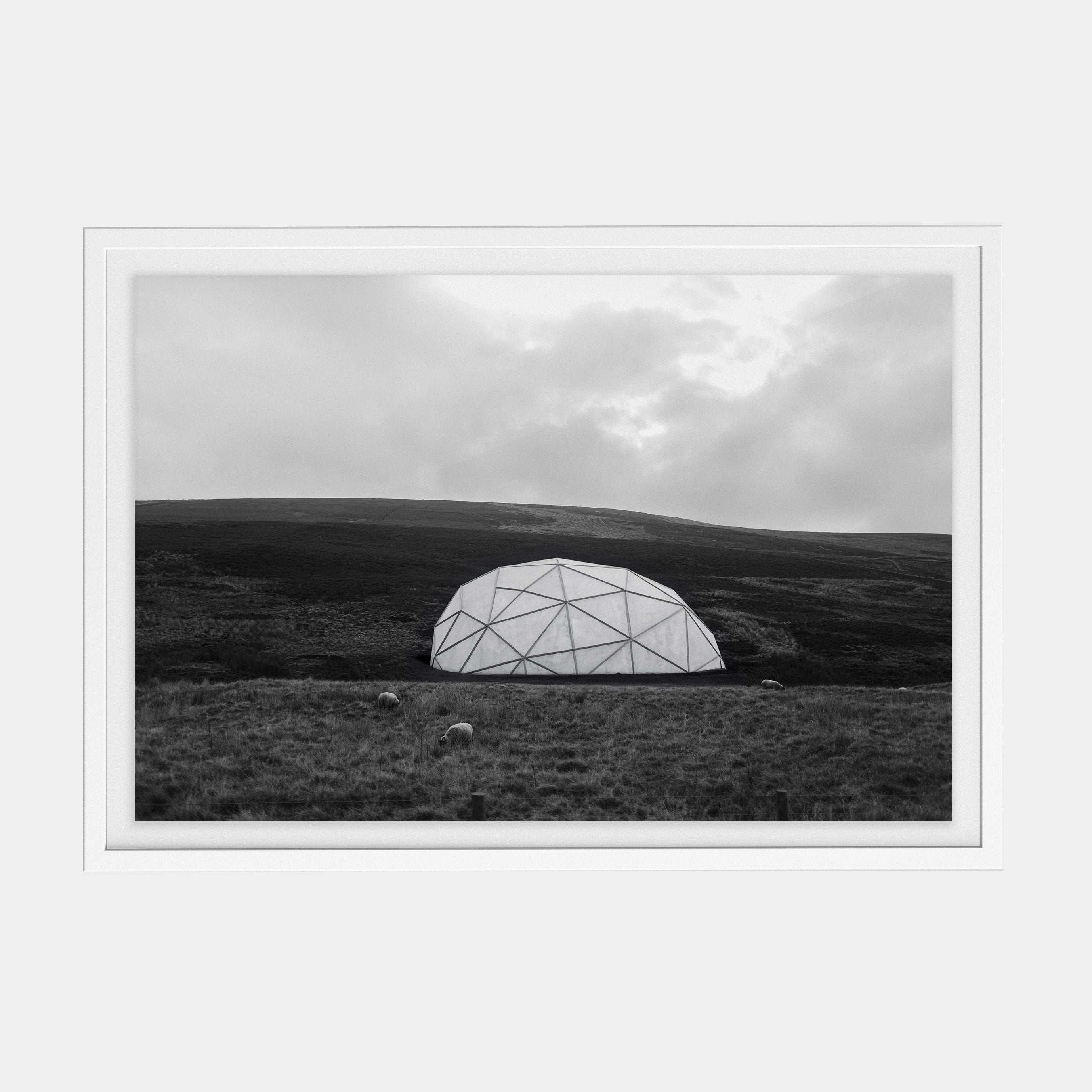 Points Estate (07) photographic print