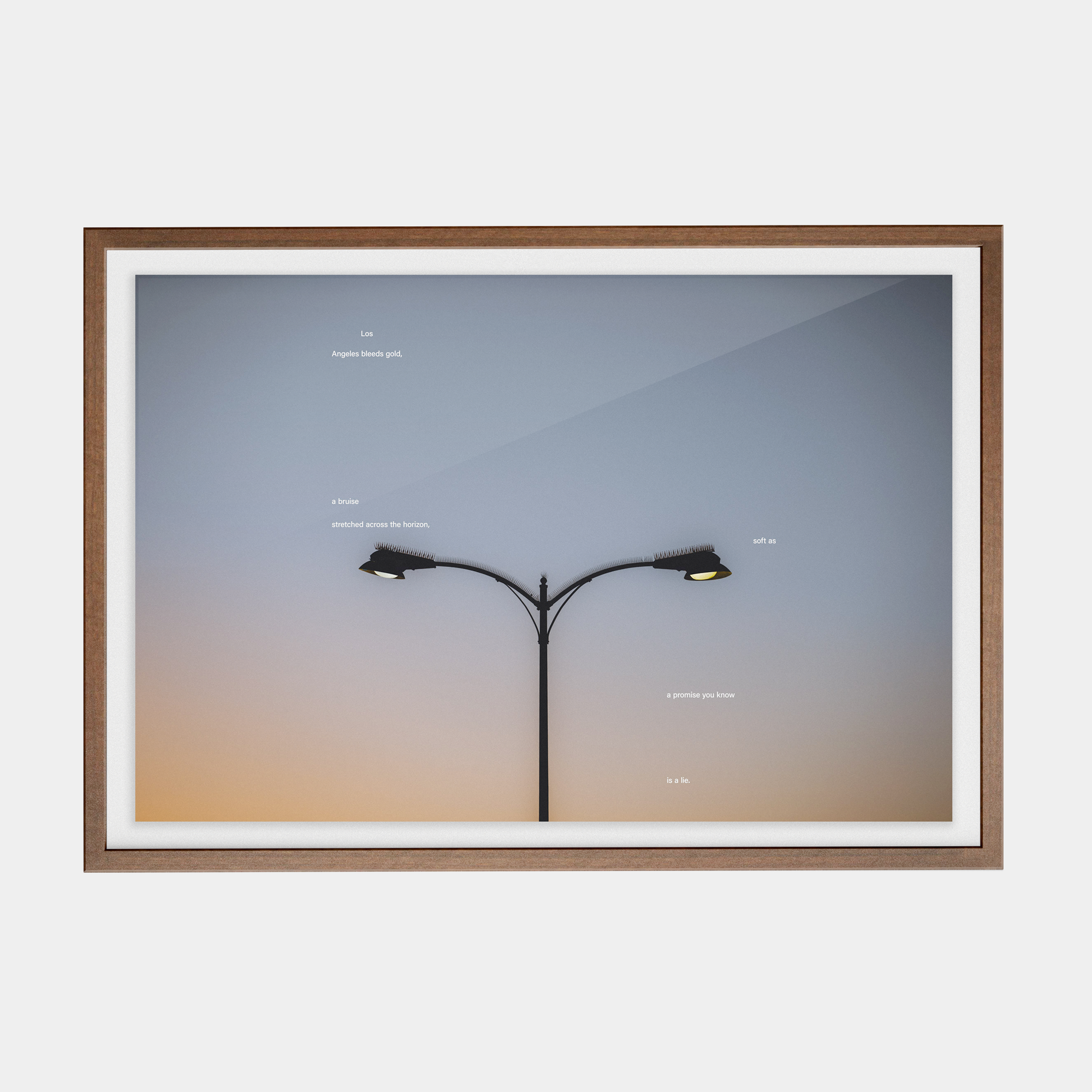 Tone Poem (1, 2025) photographic print