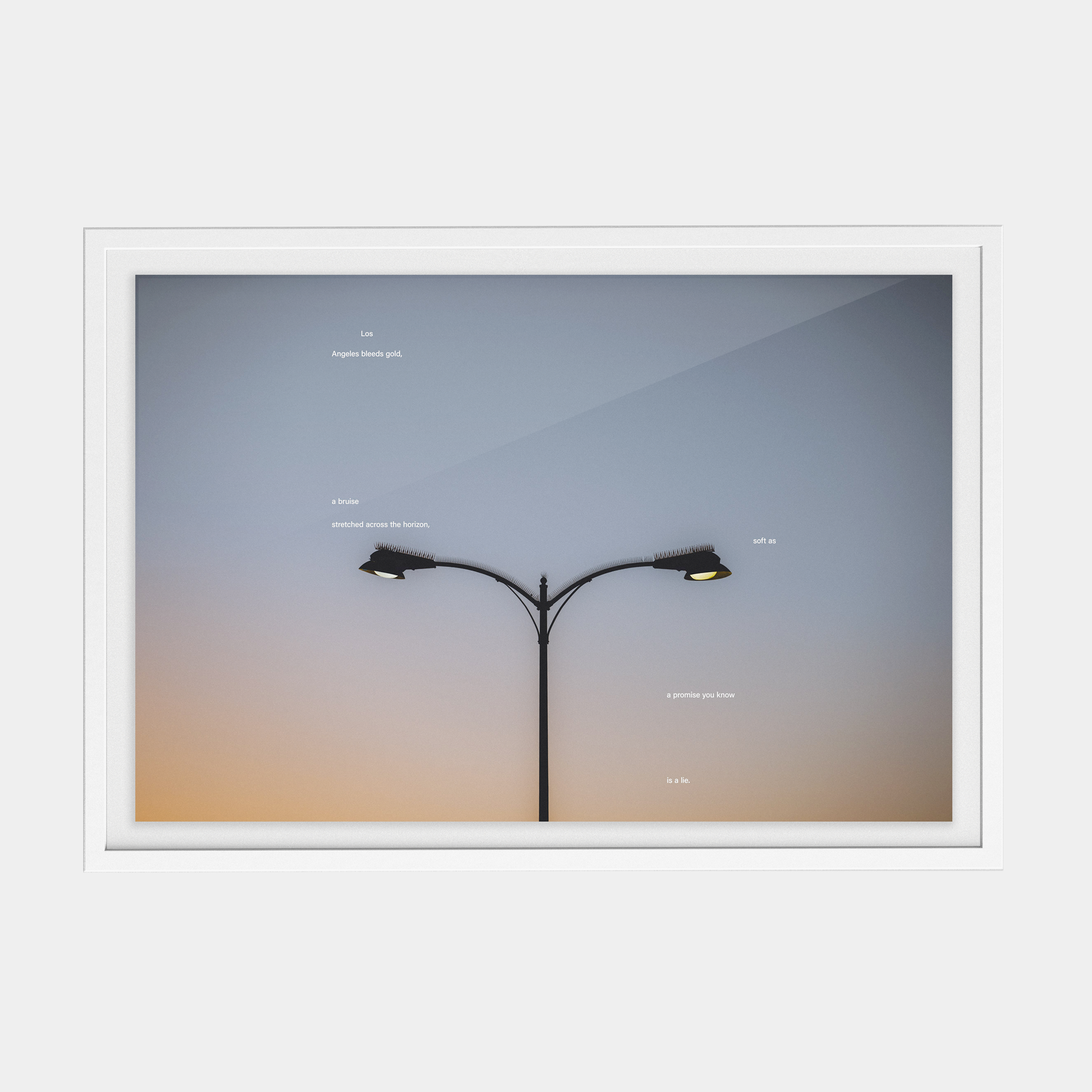 Tone Poem (1, 2025) photographic print