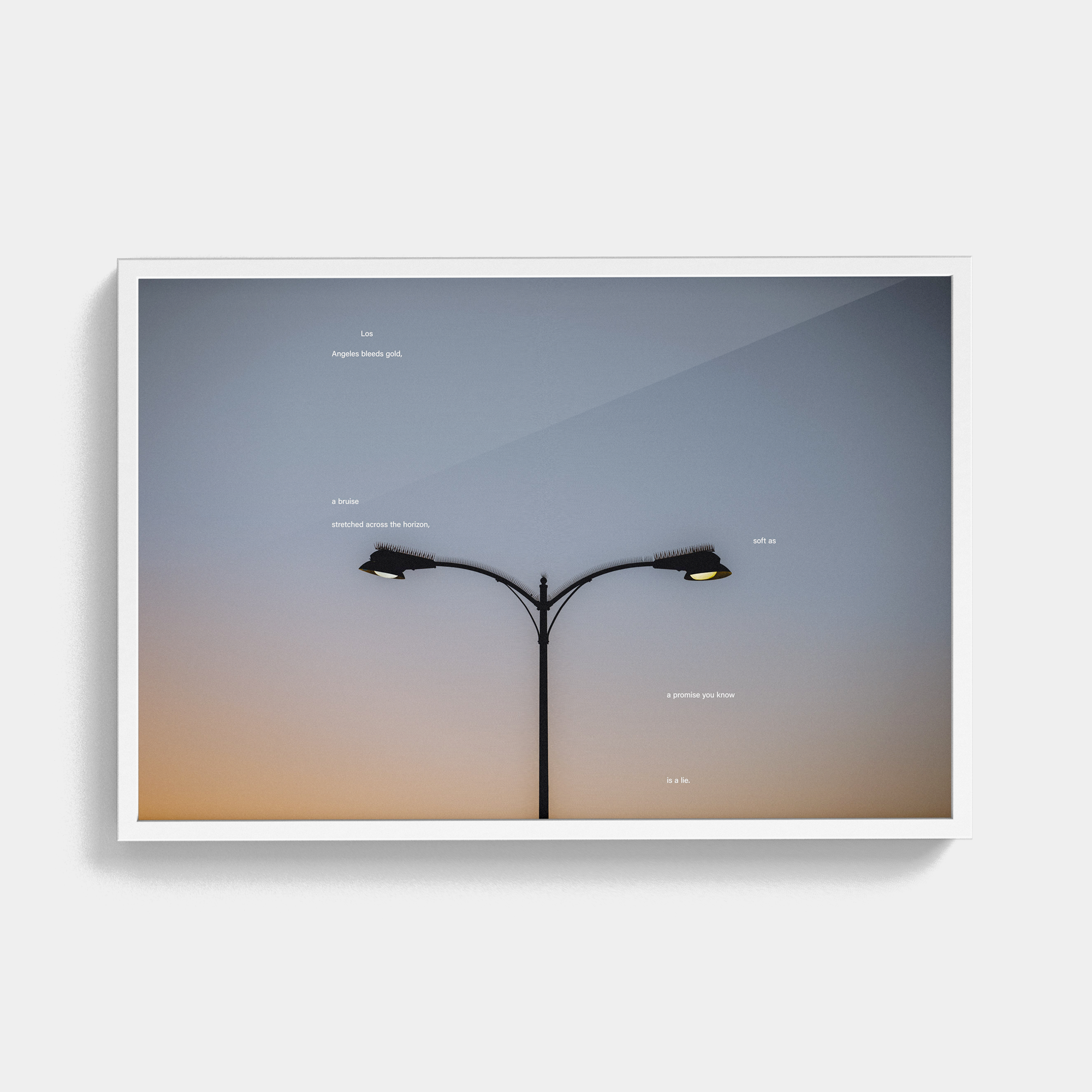 Tone Poem (1, 2025) photographic print