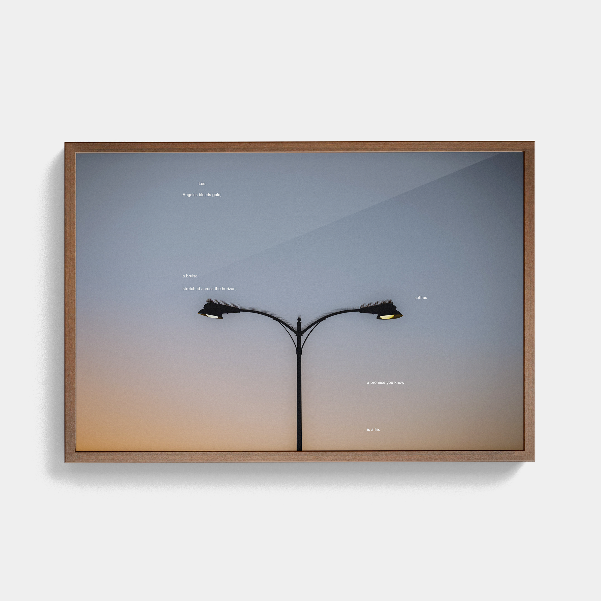 Tone Poem (1, 2025) photographic print