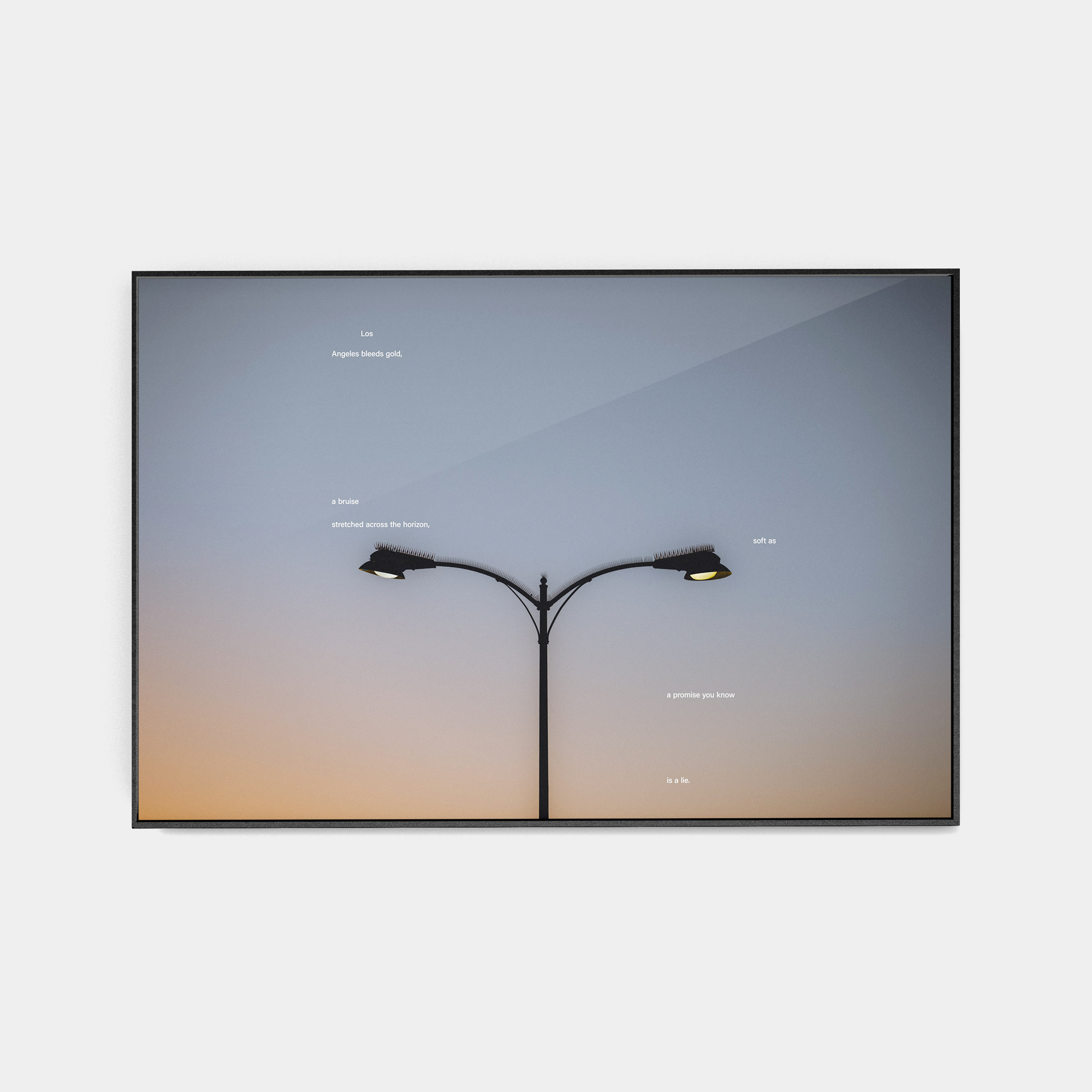 Tone Poem (1, 2025) photographic print