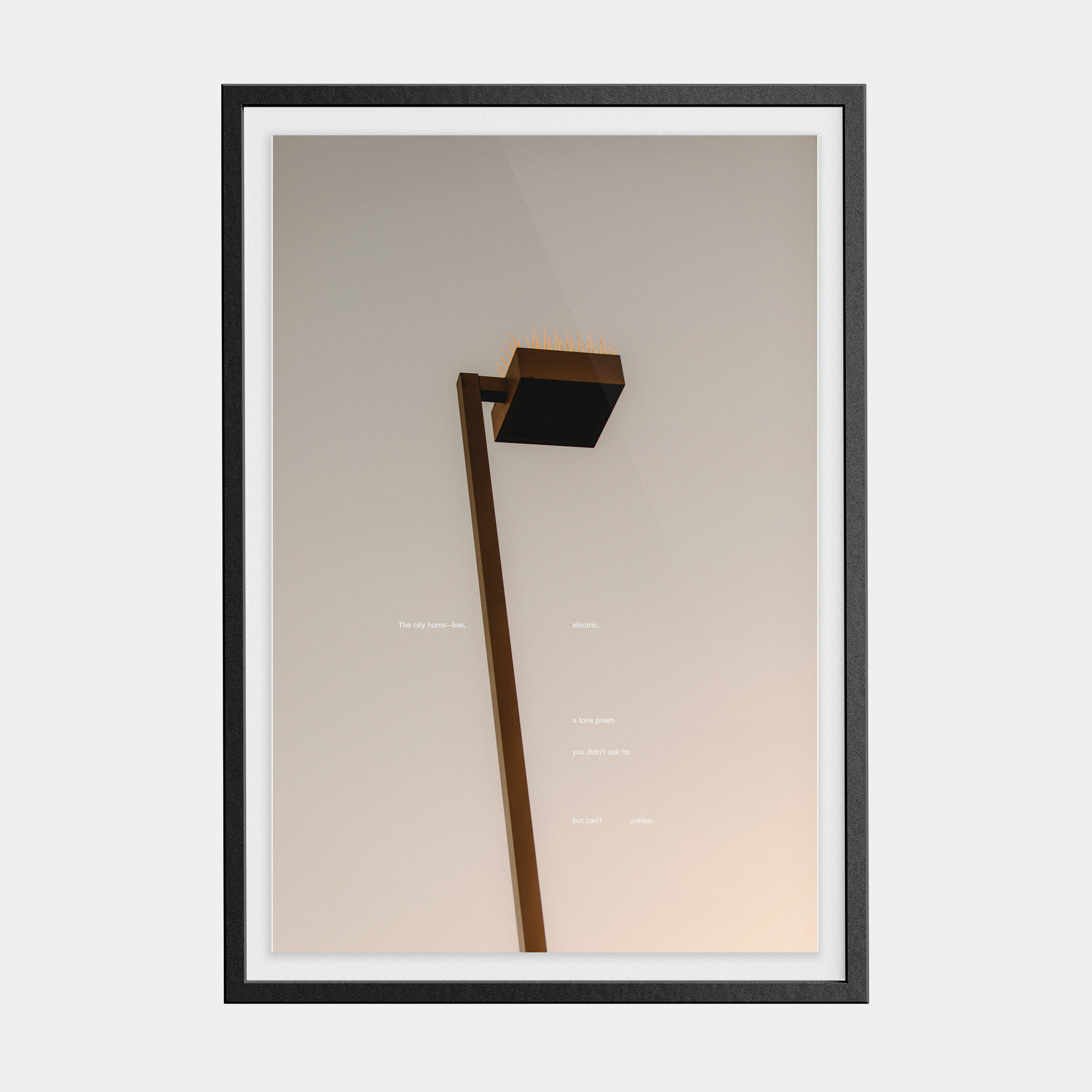 Tone Poem (2, 2025) photographic print