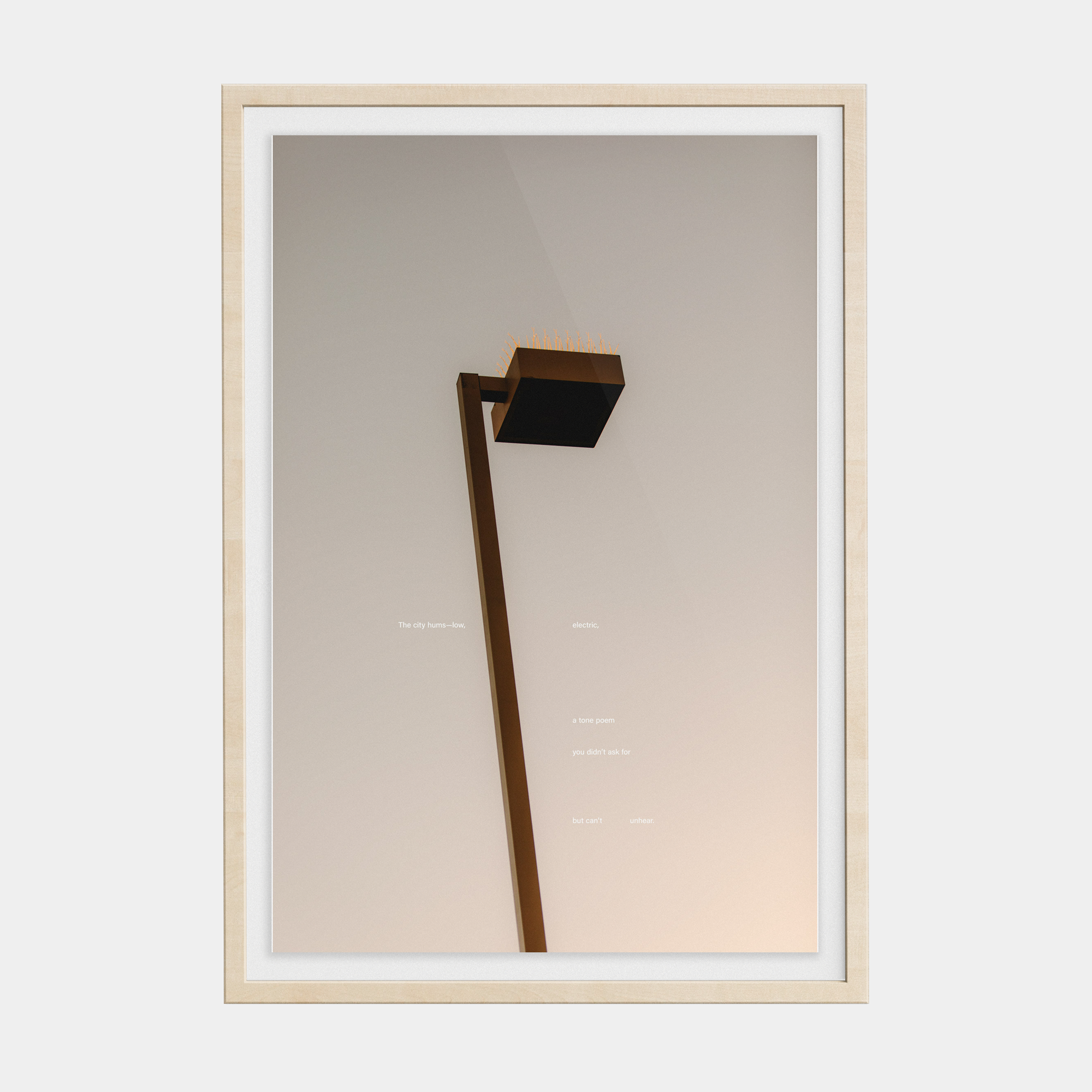 Tone Poem (2, 2025) photographic print
