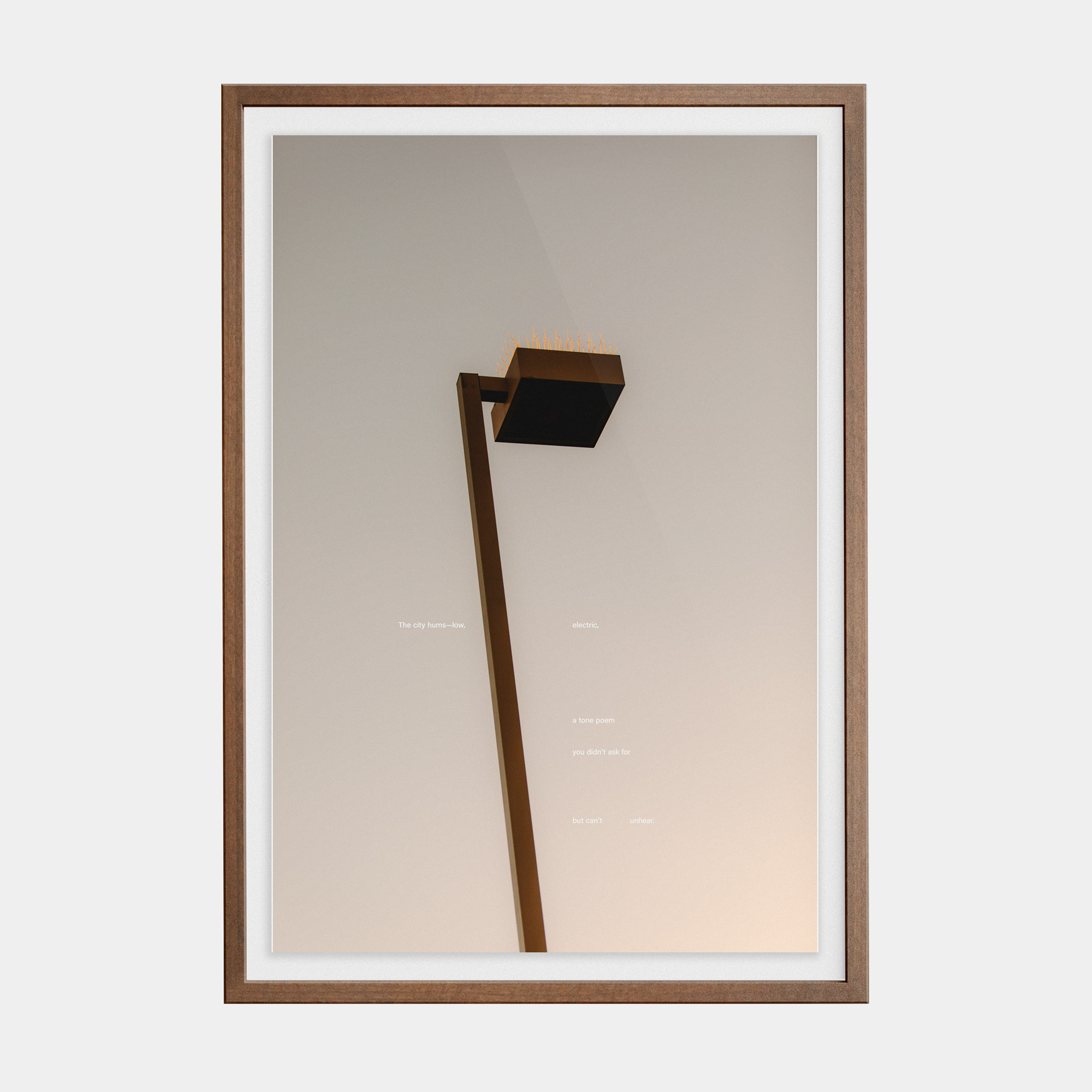 Tone Poem (2, 2025) photographic print