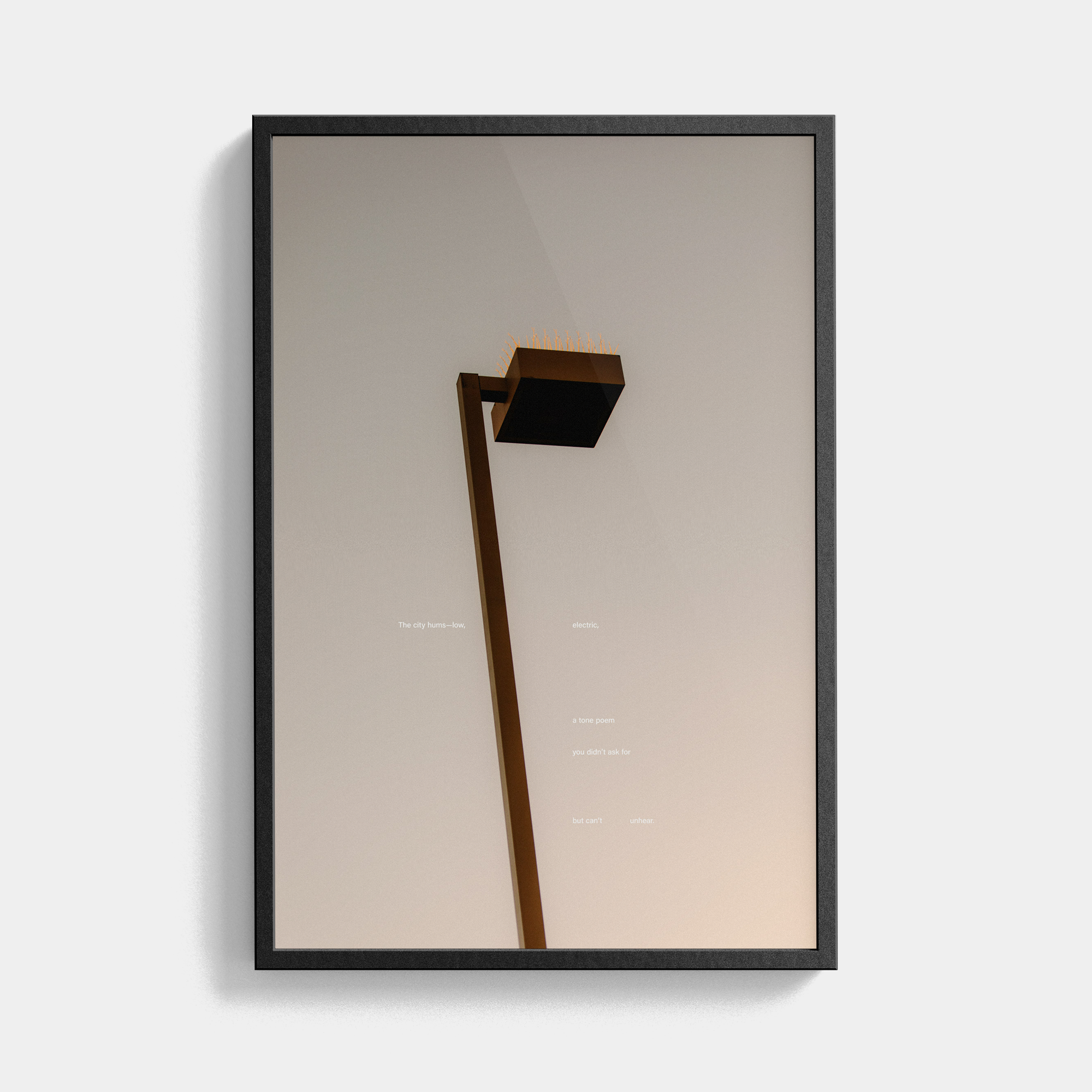 Tone Poem (2, 2025) photographic print