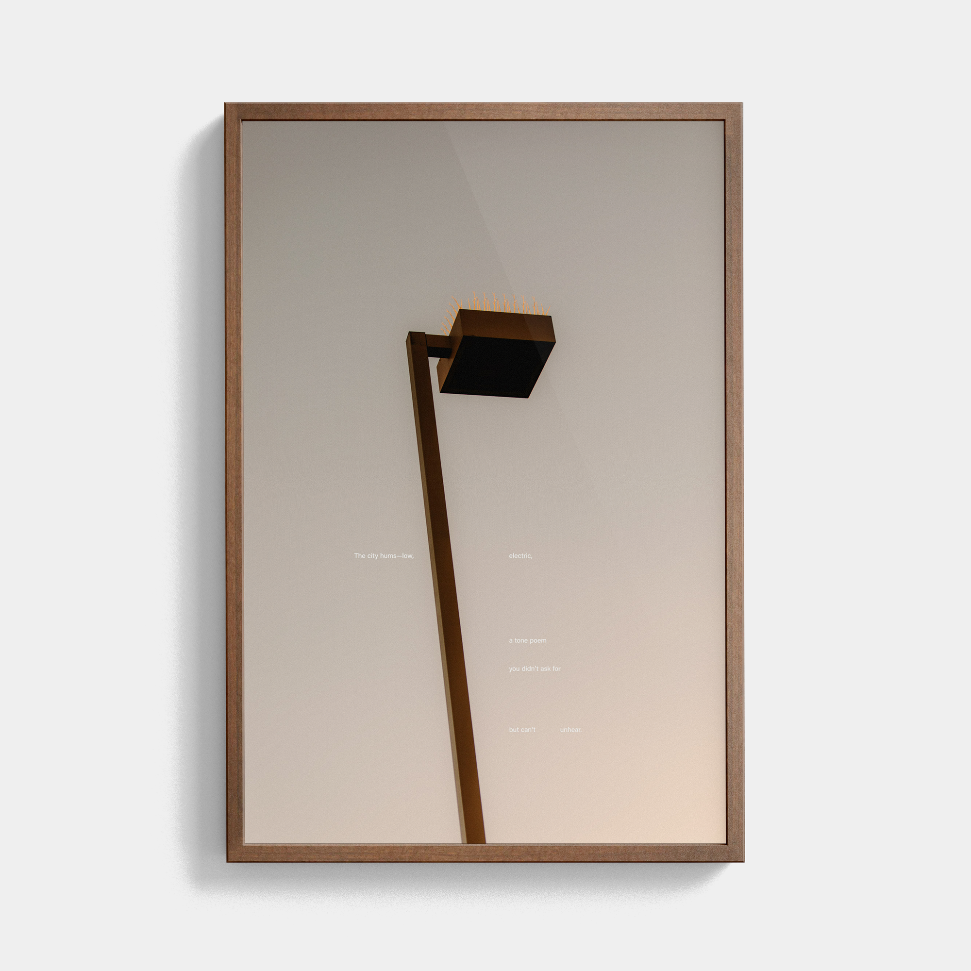 Tone Poem (2, 2025) photographic print