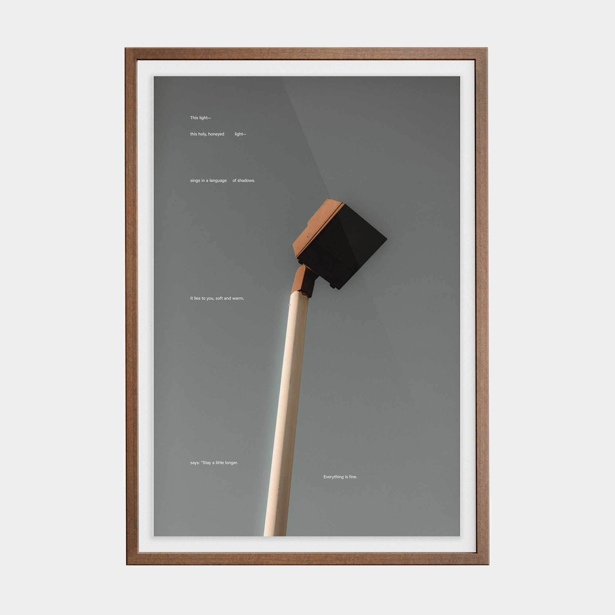 Tone Poem (5, 2025) photographic print