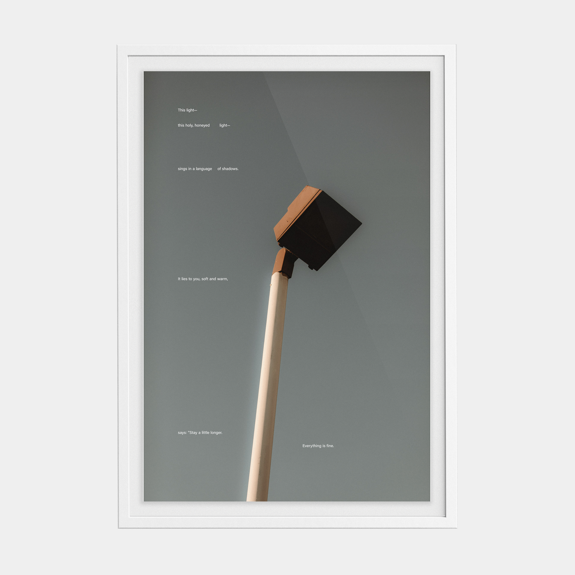 Tone Poem (5, 2025) photographic print