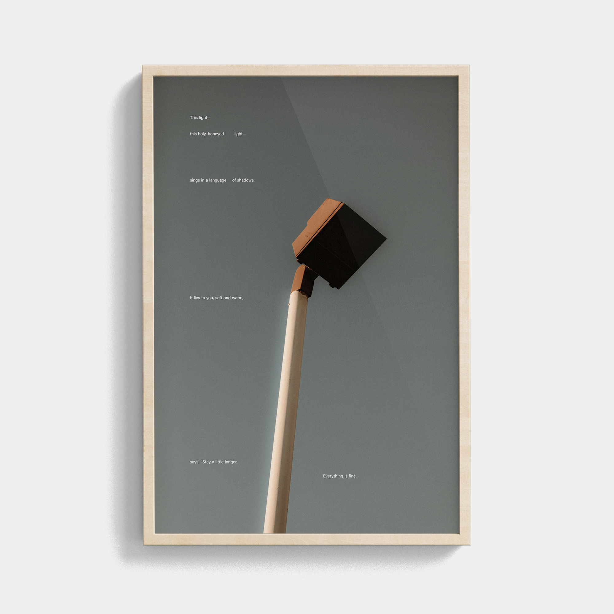 Tone Poem (5, 2025) photographic print