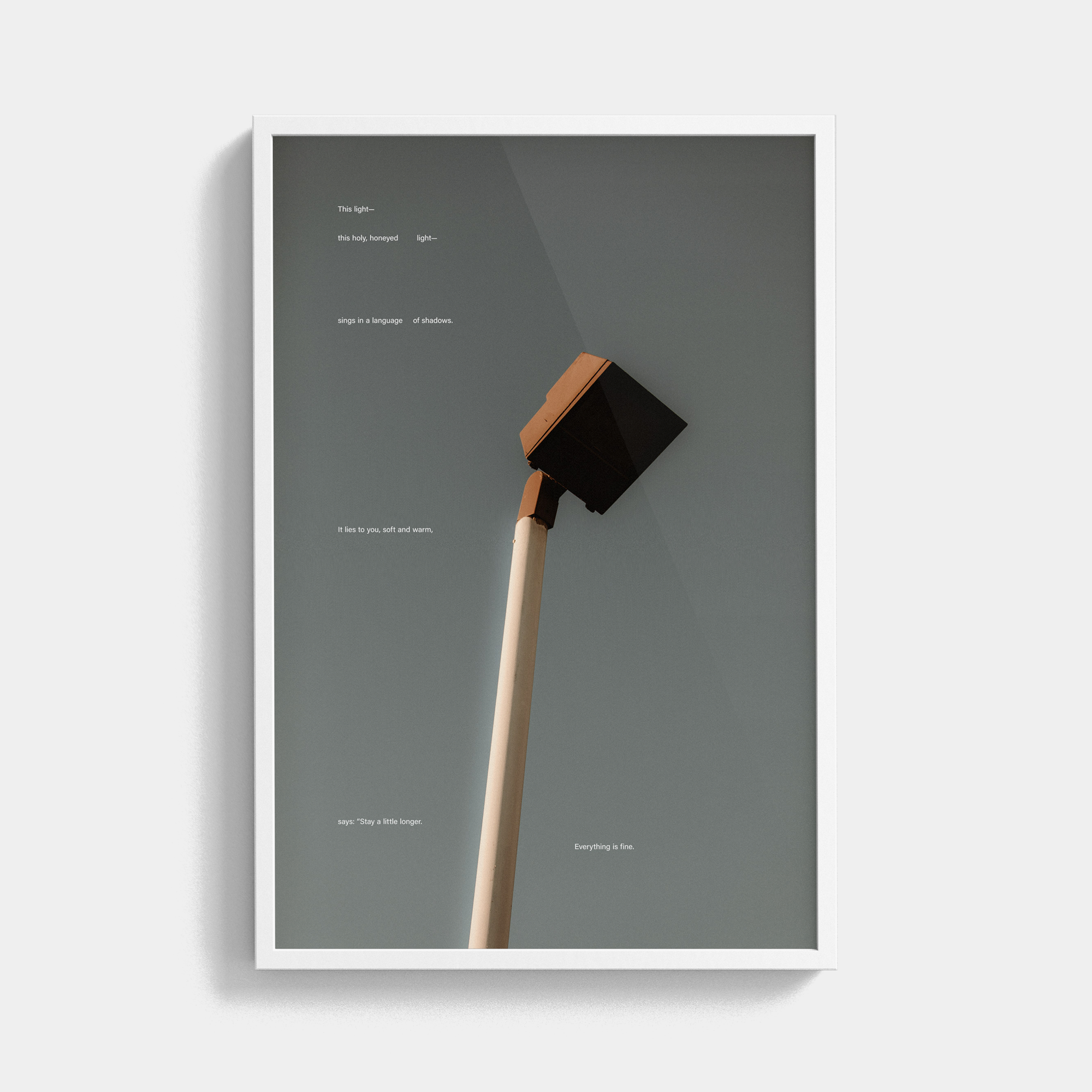 Tone Poem (5, 2025) photographic print