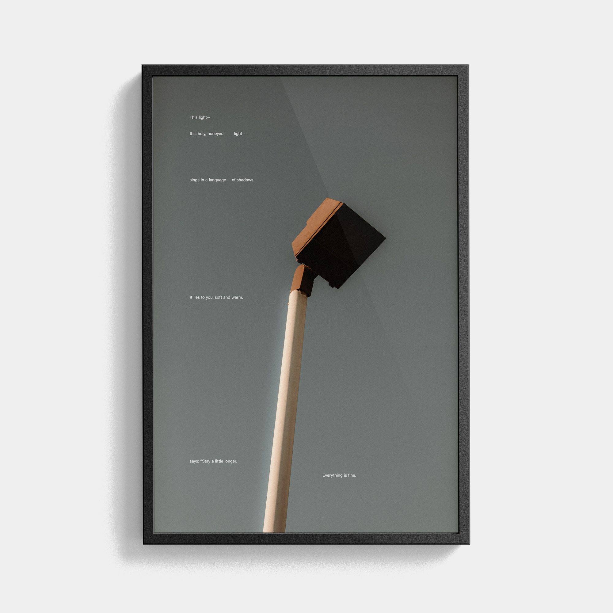 Tone Poem (5, 2025) photographic print