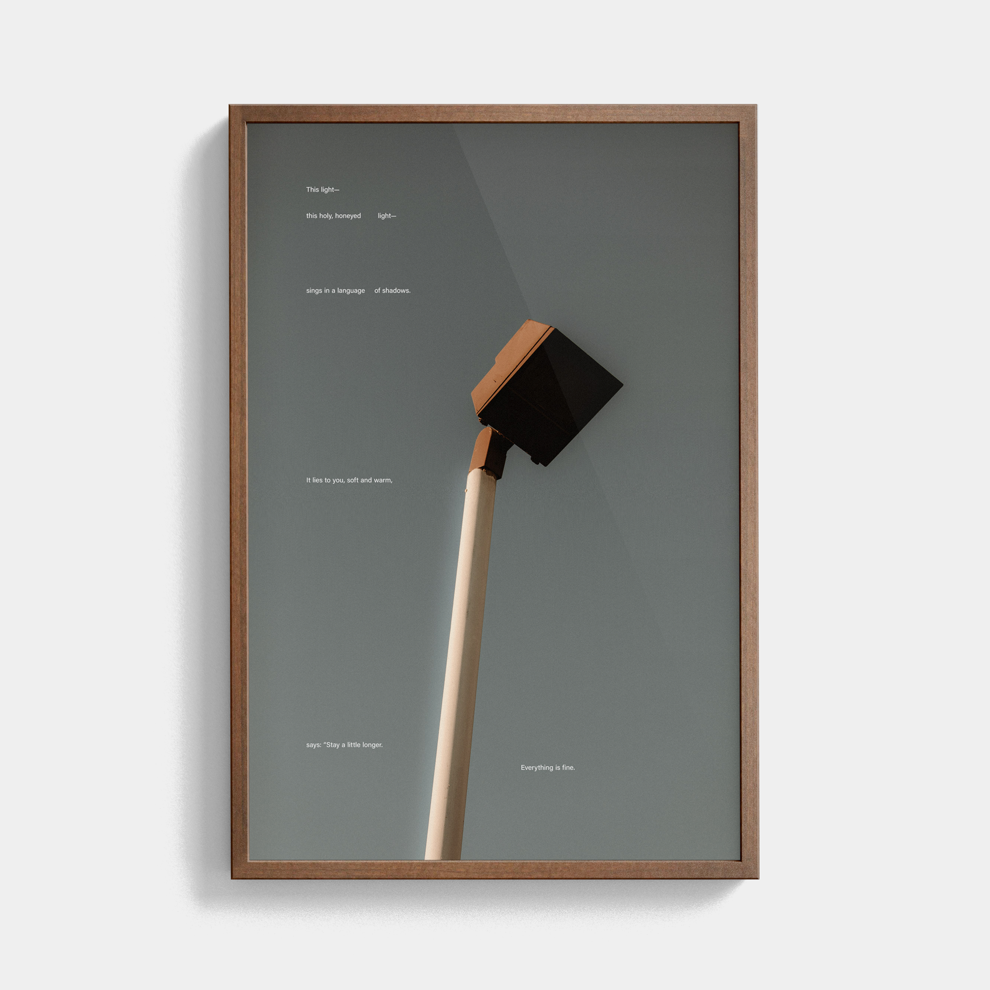 Tone Poem (5, 2025) photographic print