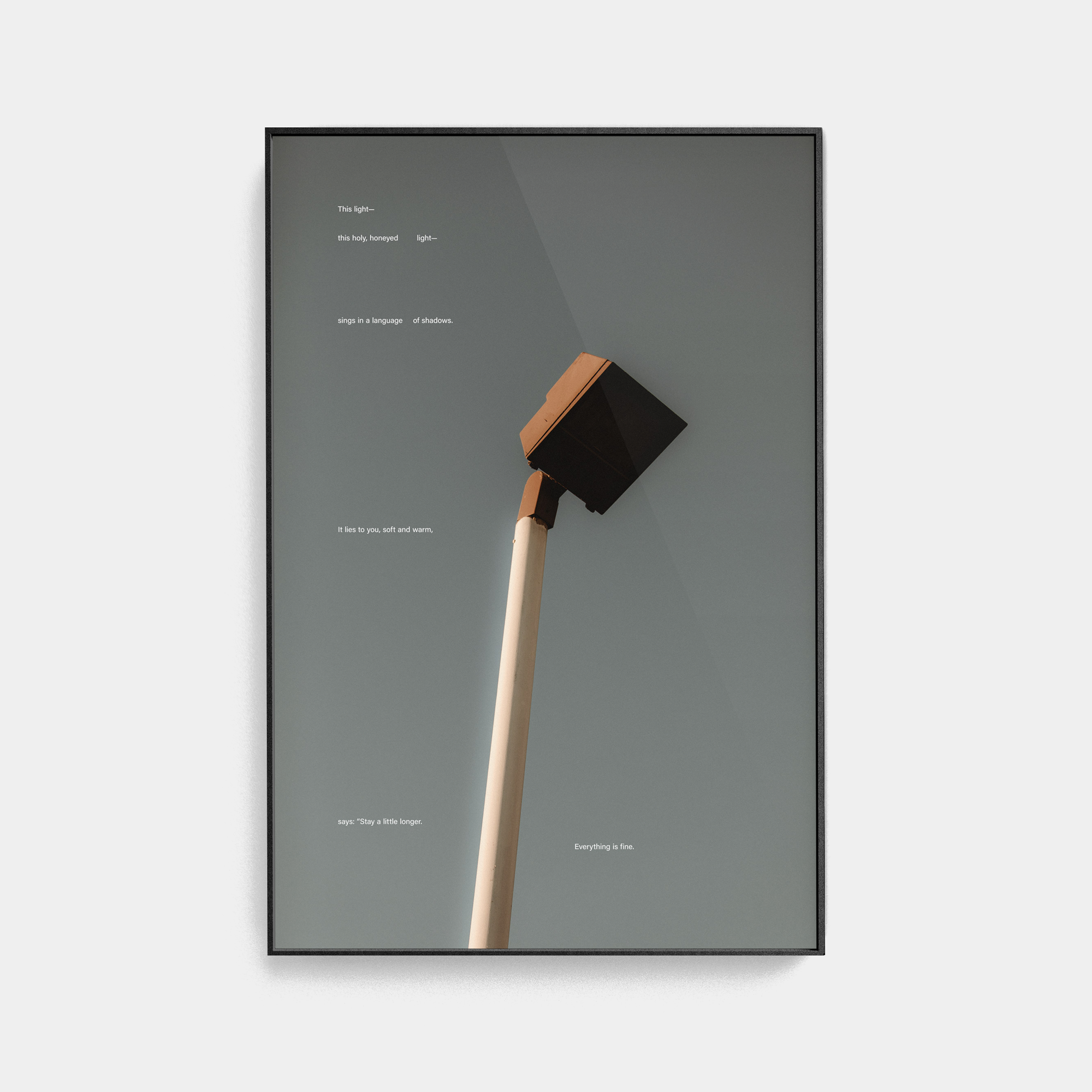 Tone Poem (5, 2025) photographic print