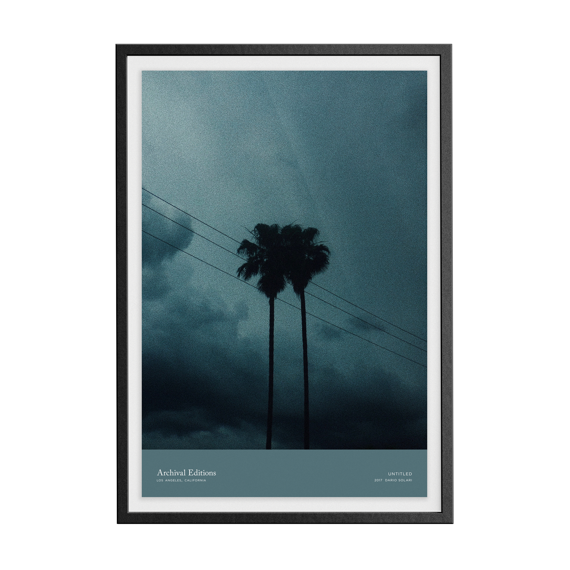 Untitled (Palm Trees) by Dario Solari