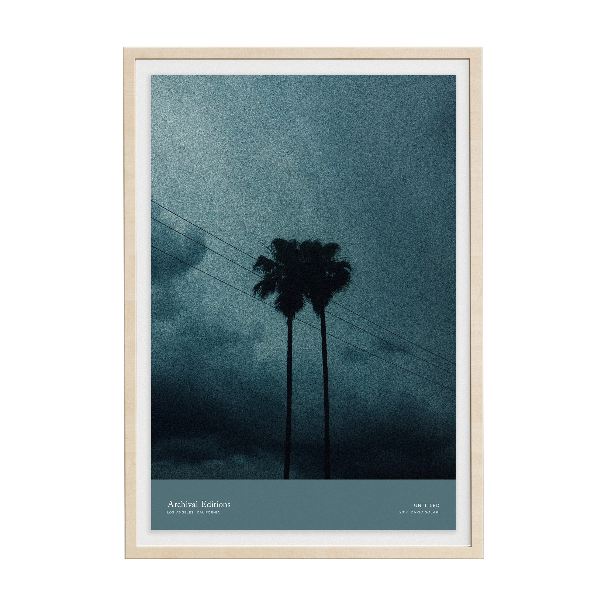 Untitled (Palm Trees) by Dario Solari