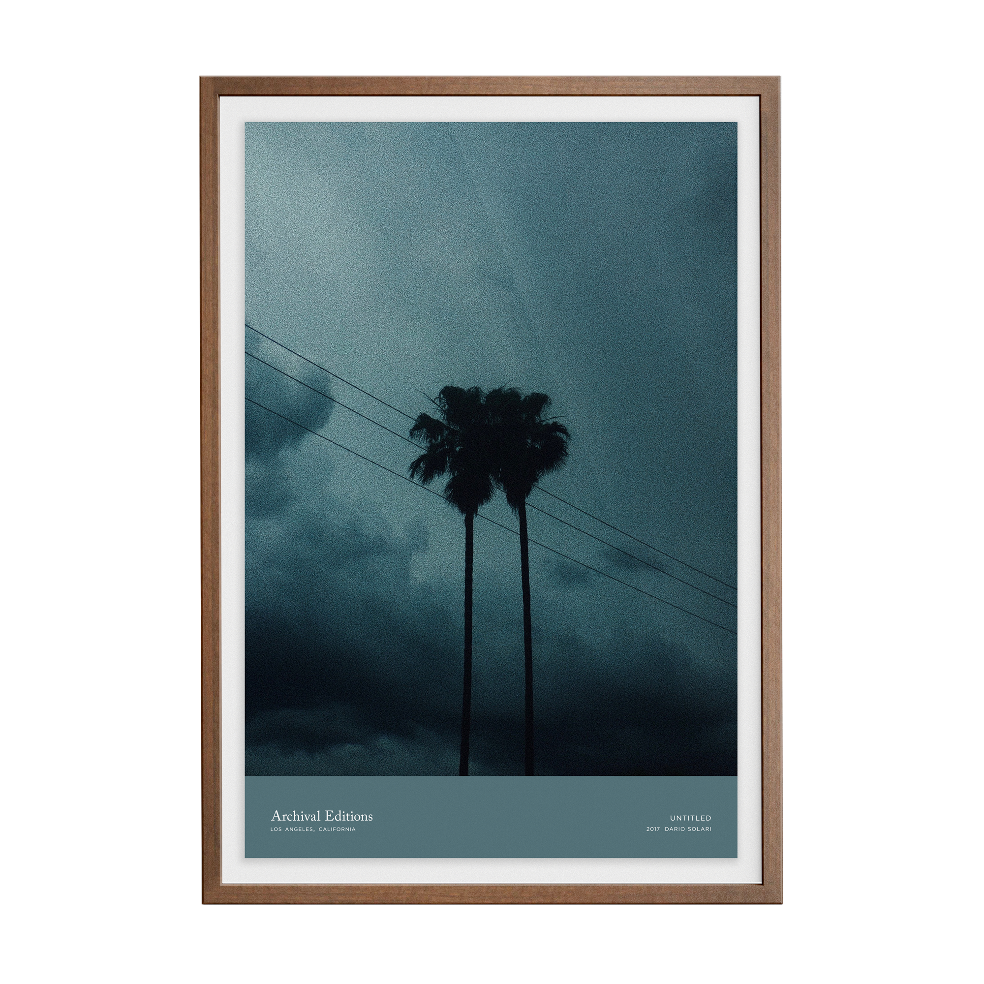 Untitled (Palm Trees) by Dario Solari