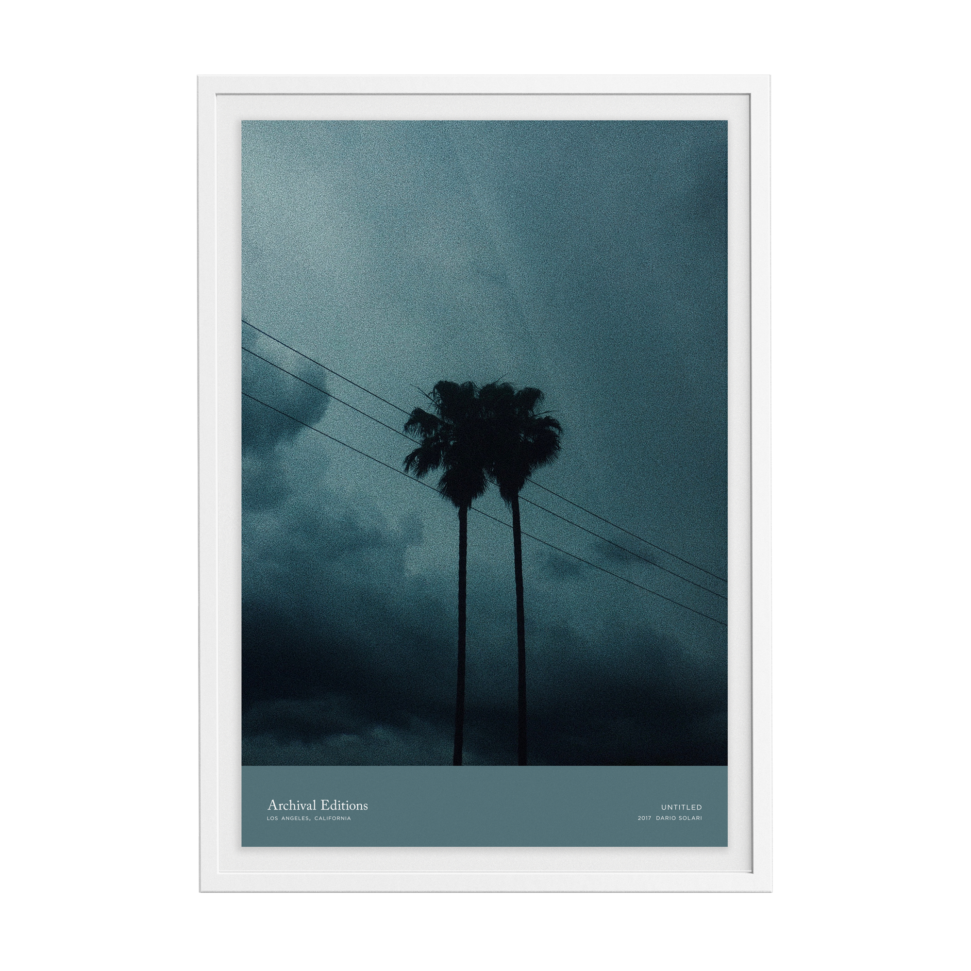 Untitled (Palm Trees) by Dario Solari