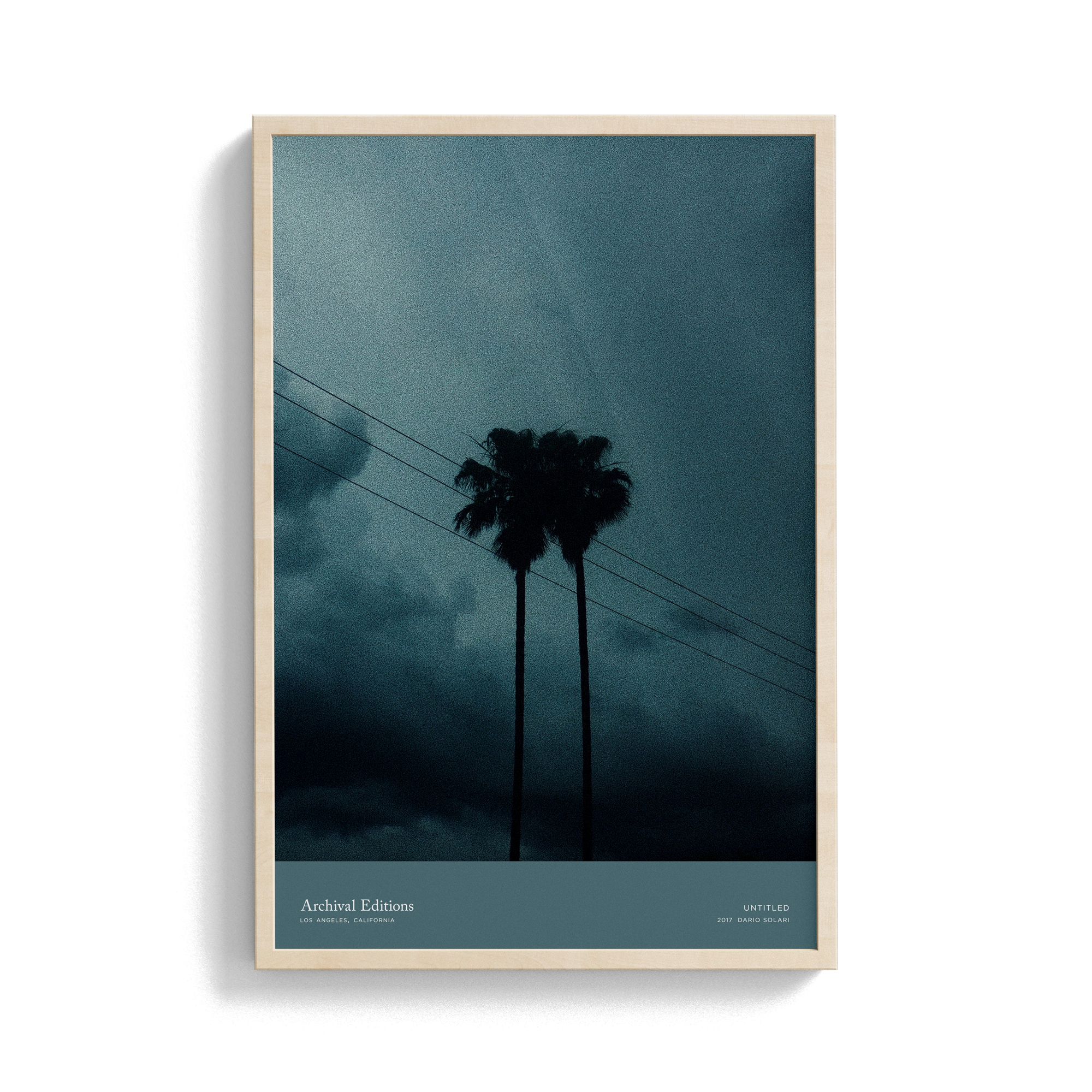 Untitled (Palm Trees) by Dario Solari
