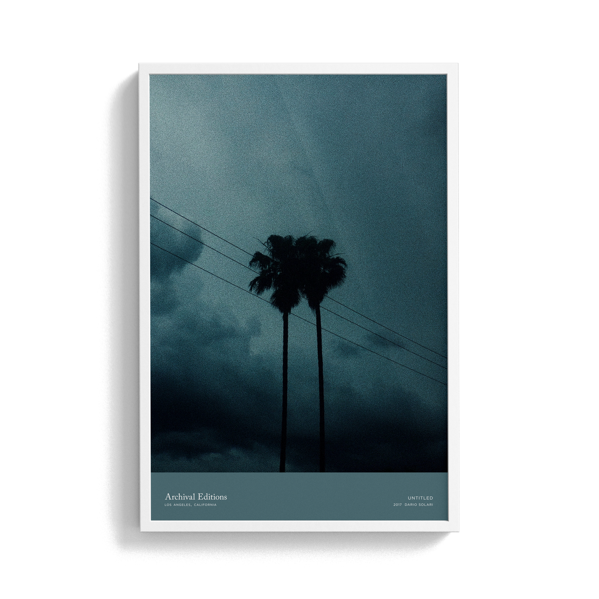 Untitled (Palm Trees) by Dario Solari