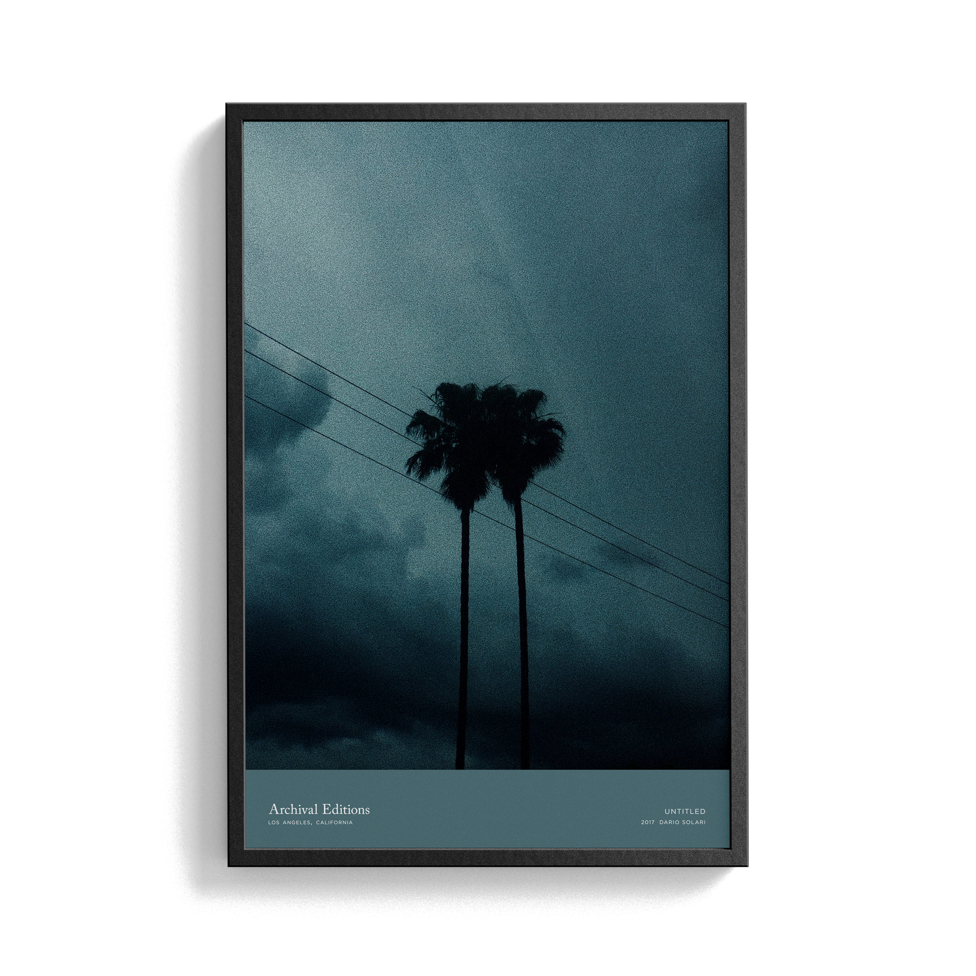 Untitled (Palm Trees) by Dario Solari
