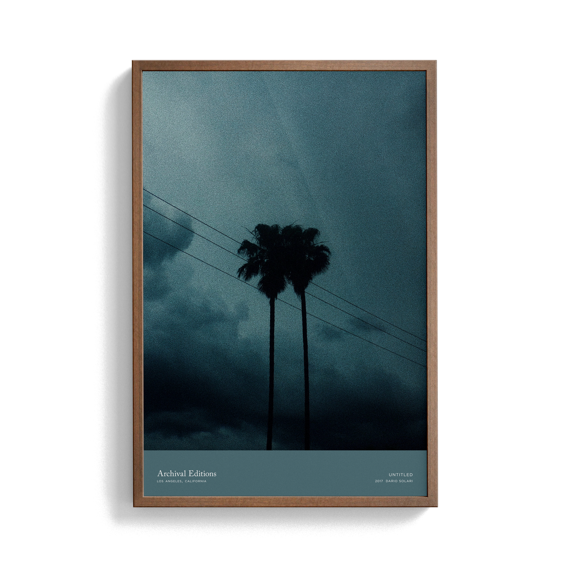 Untitled (Palm Trees) by Dario Solari