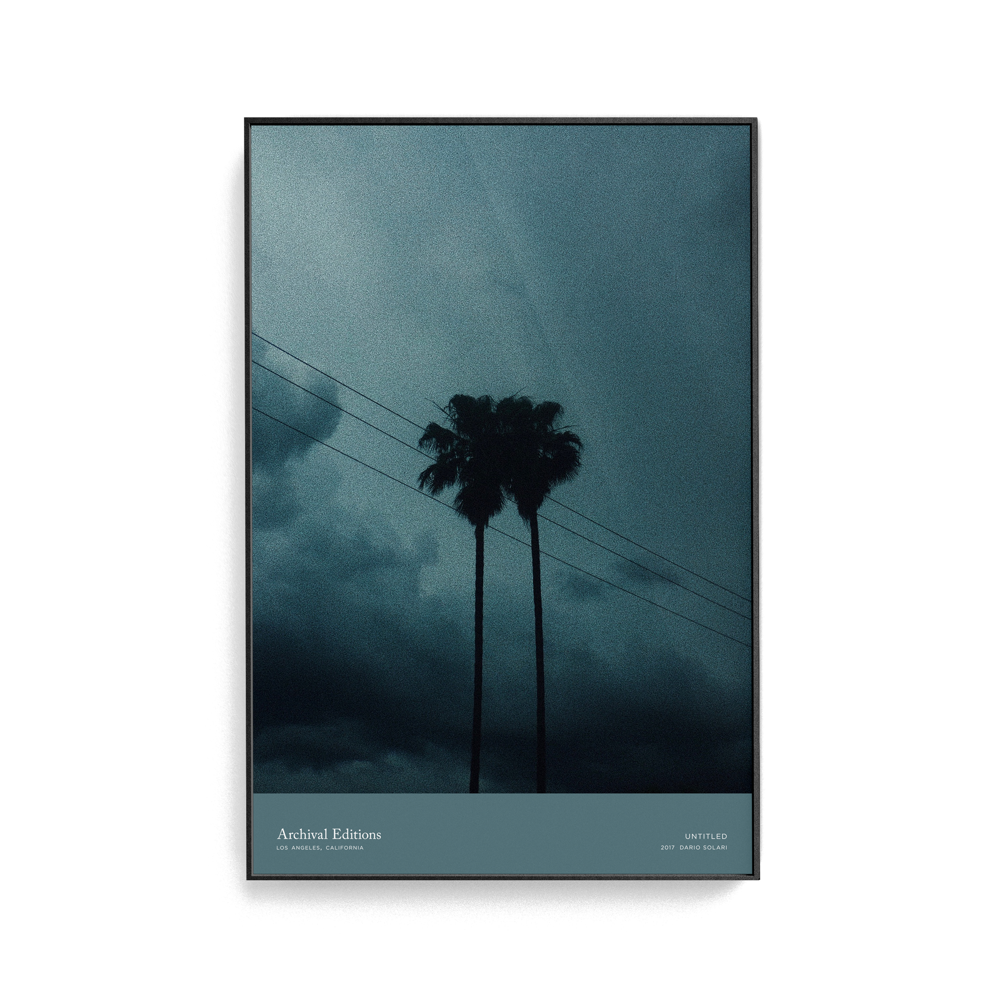 Untitled (Palm Trees) by Dario Solari
