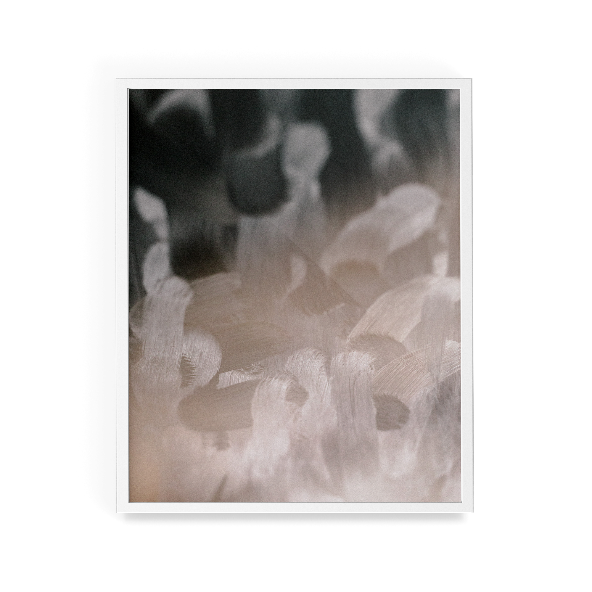 Apstracted (Instagram) photographic print