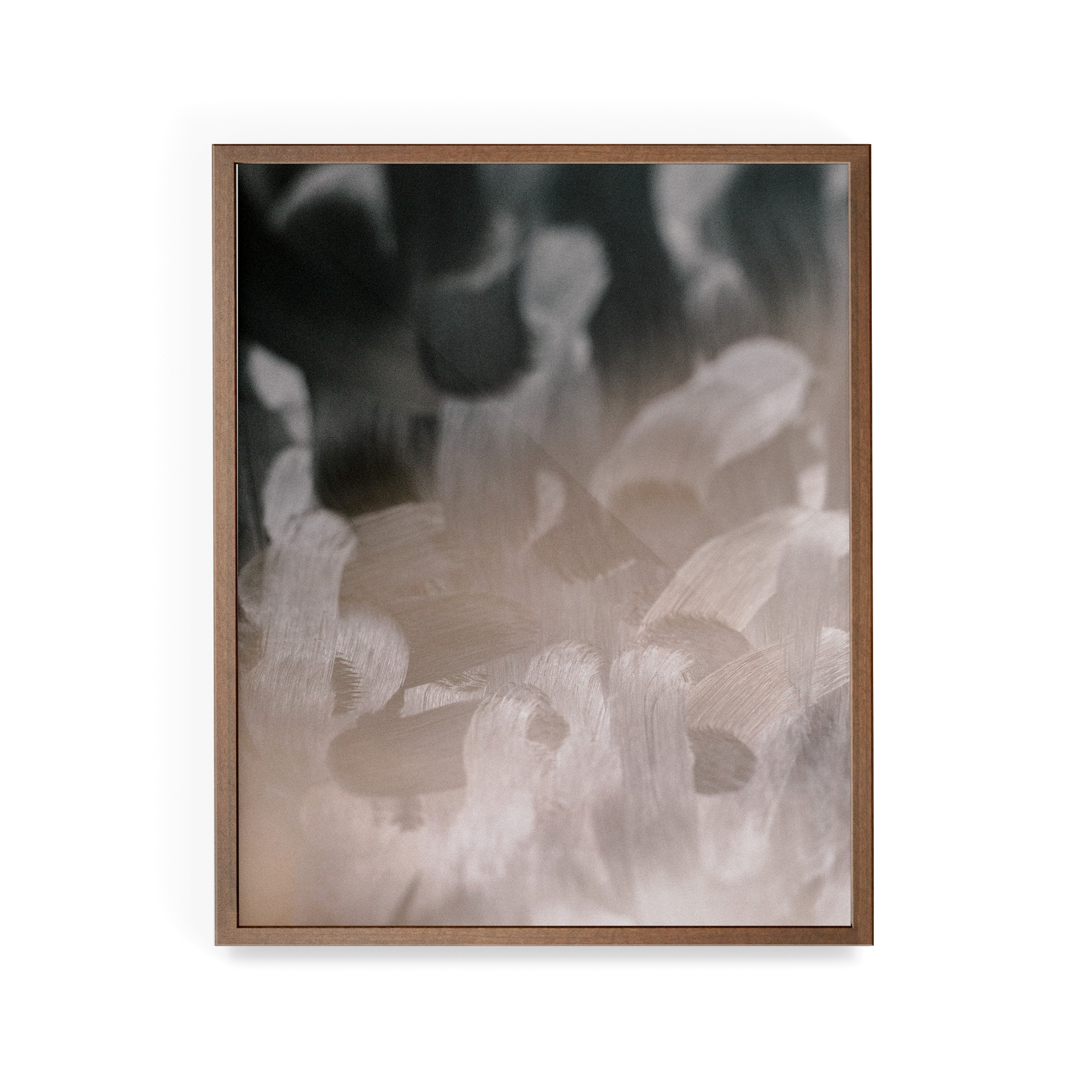 Apstracted (Instagram) photographic print