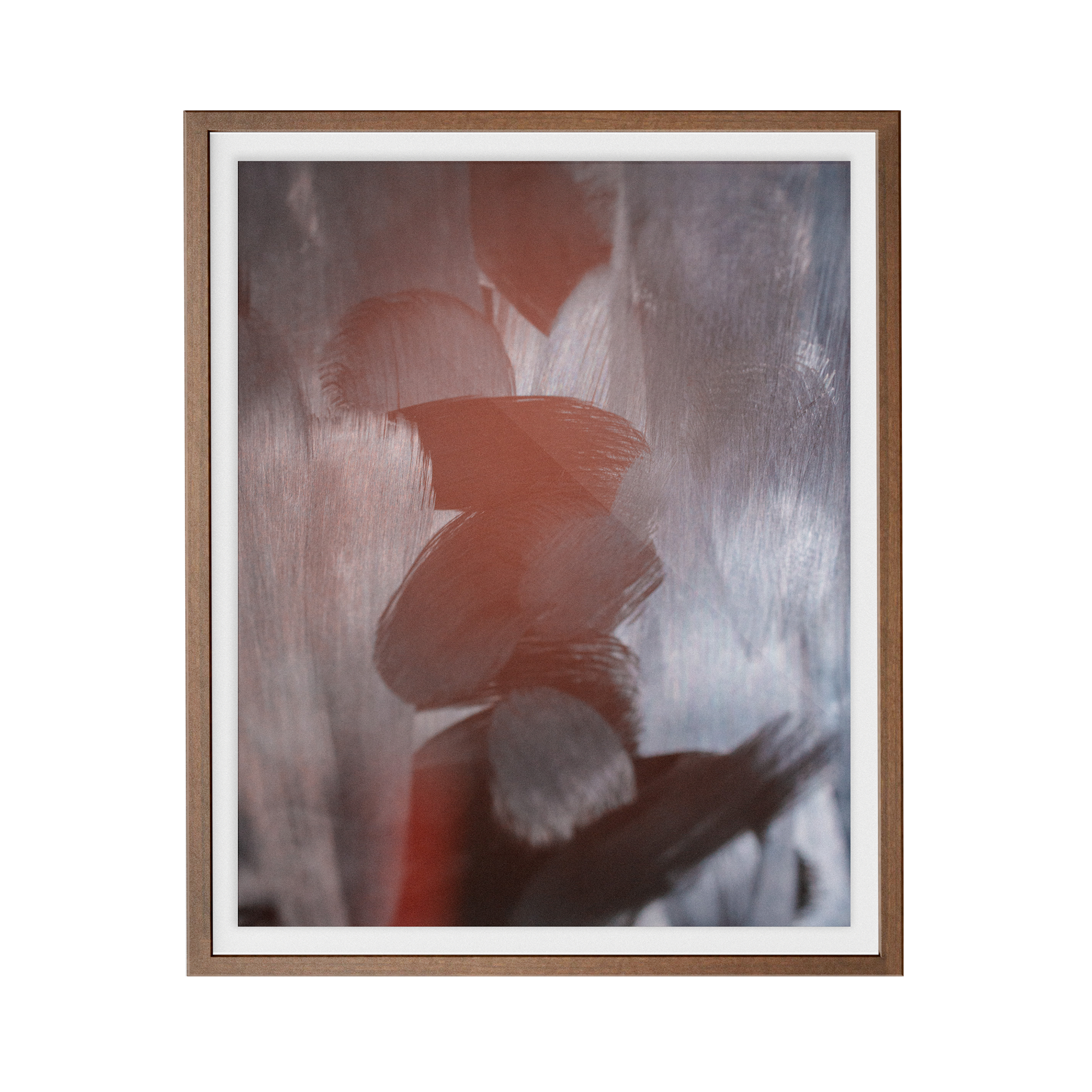 Apstracted (Safari) photographic print