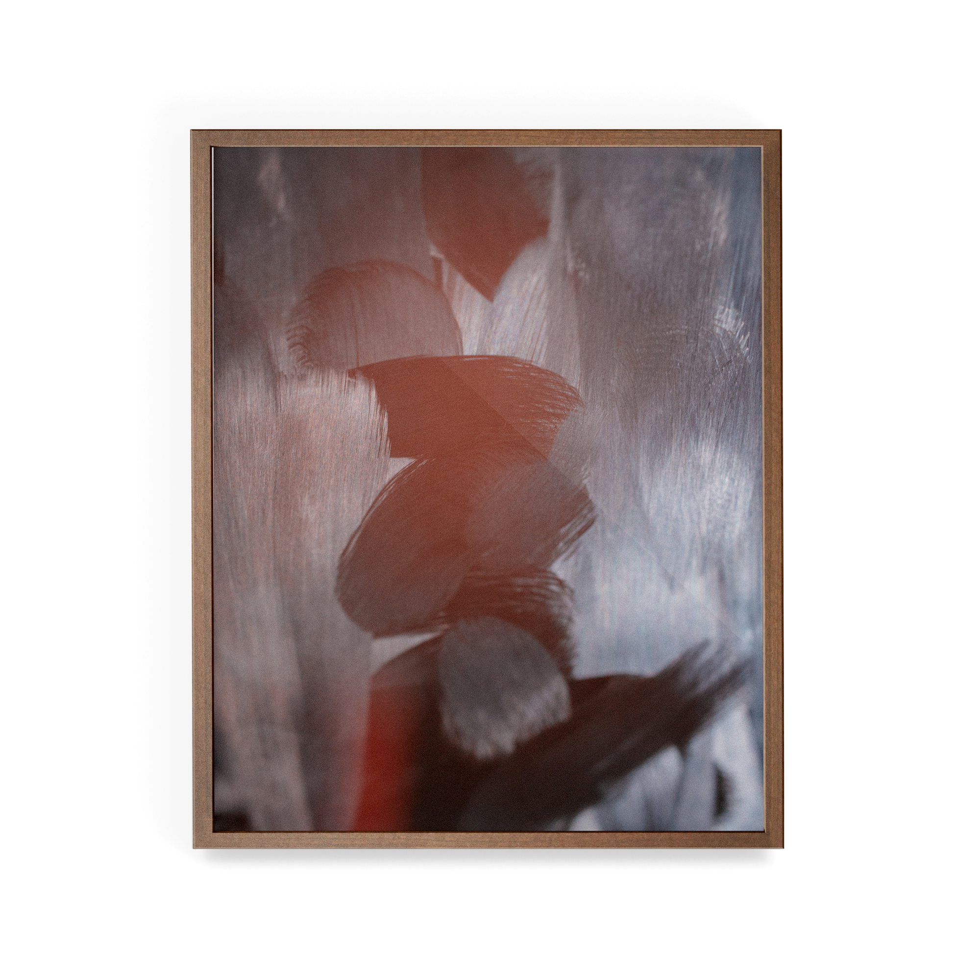Apstracted (Safari) photographic print