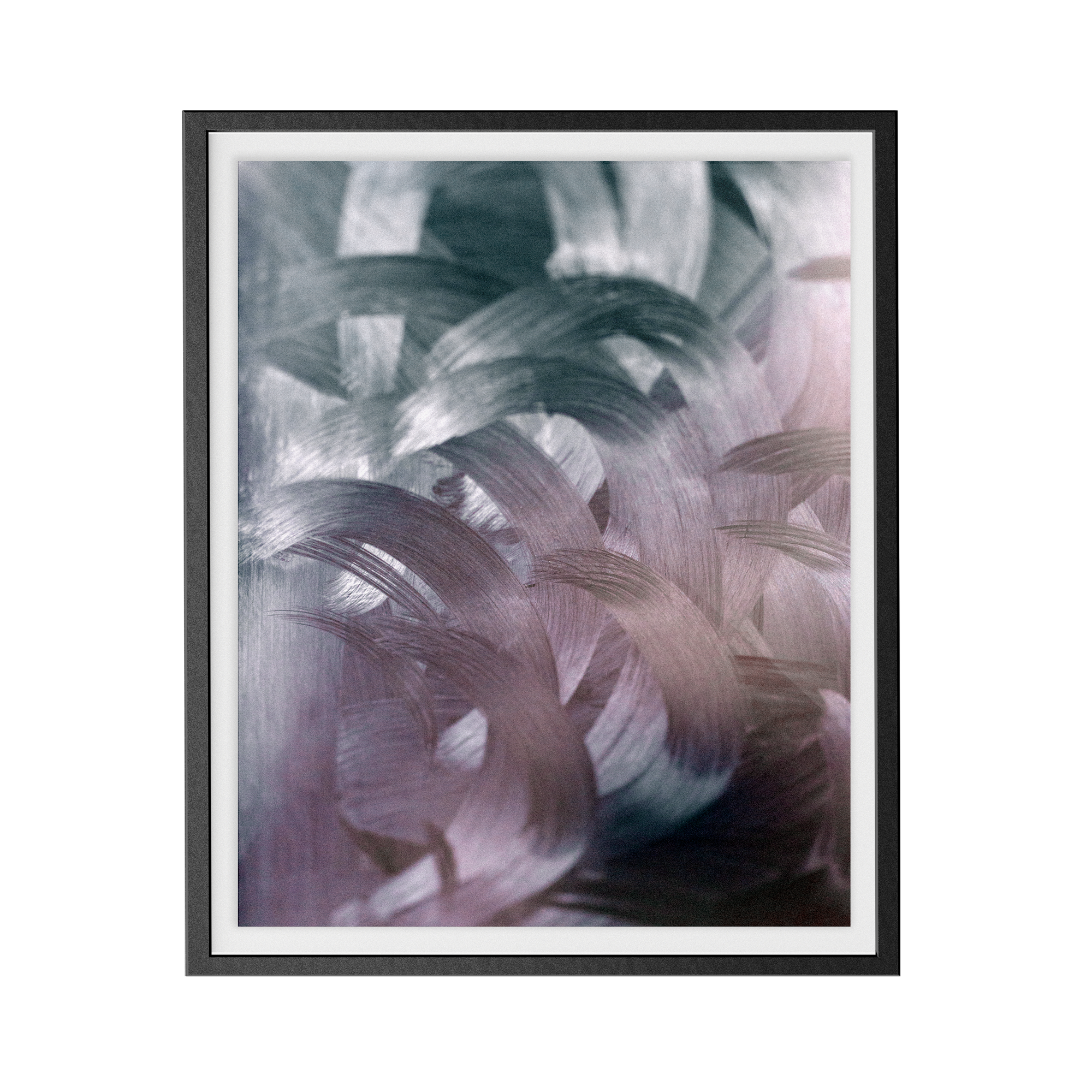 Apstracted (Twitter) photographic print
