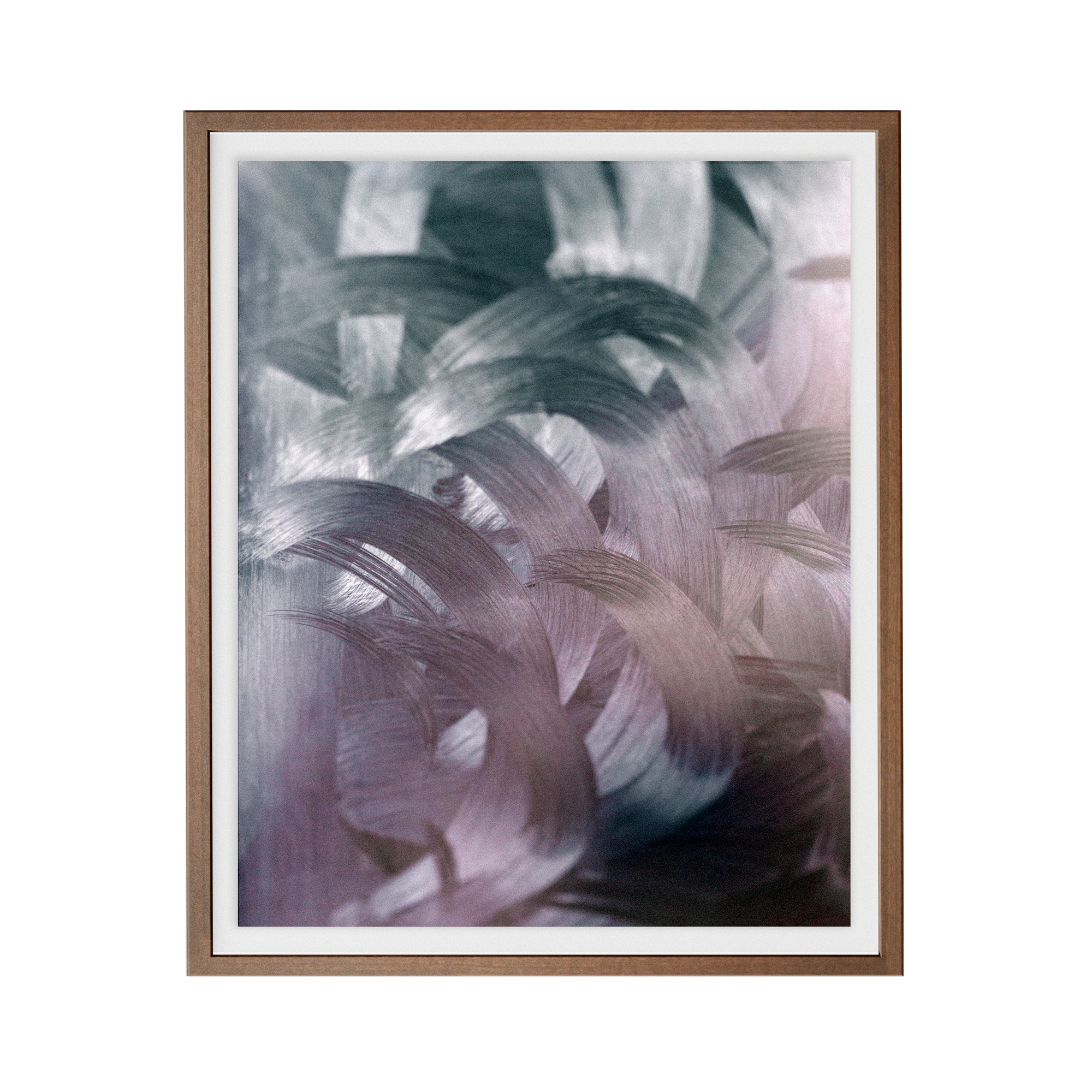 Apstracted (Twitter) photographic print