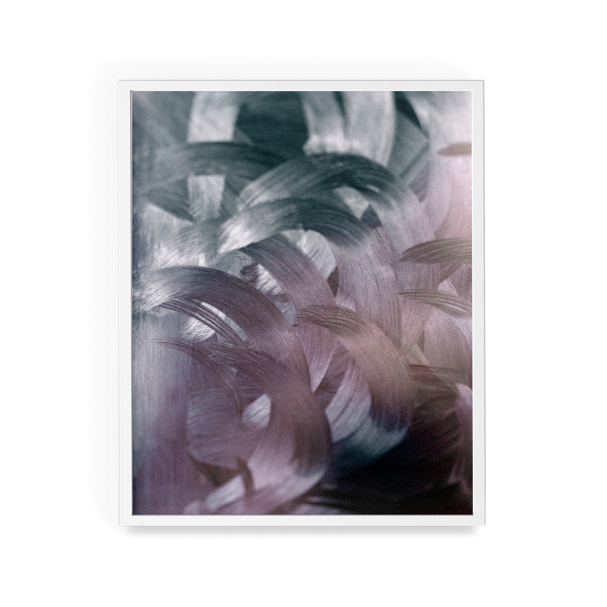 Apstracted (Twitter) photographic print