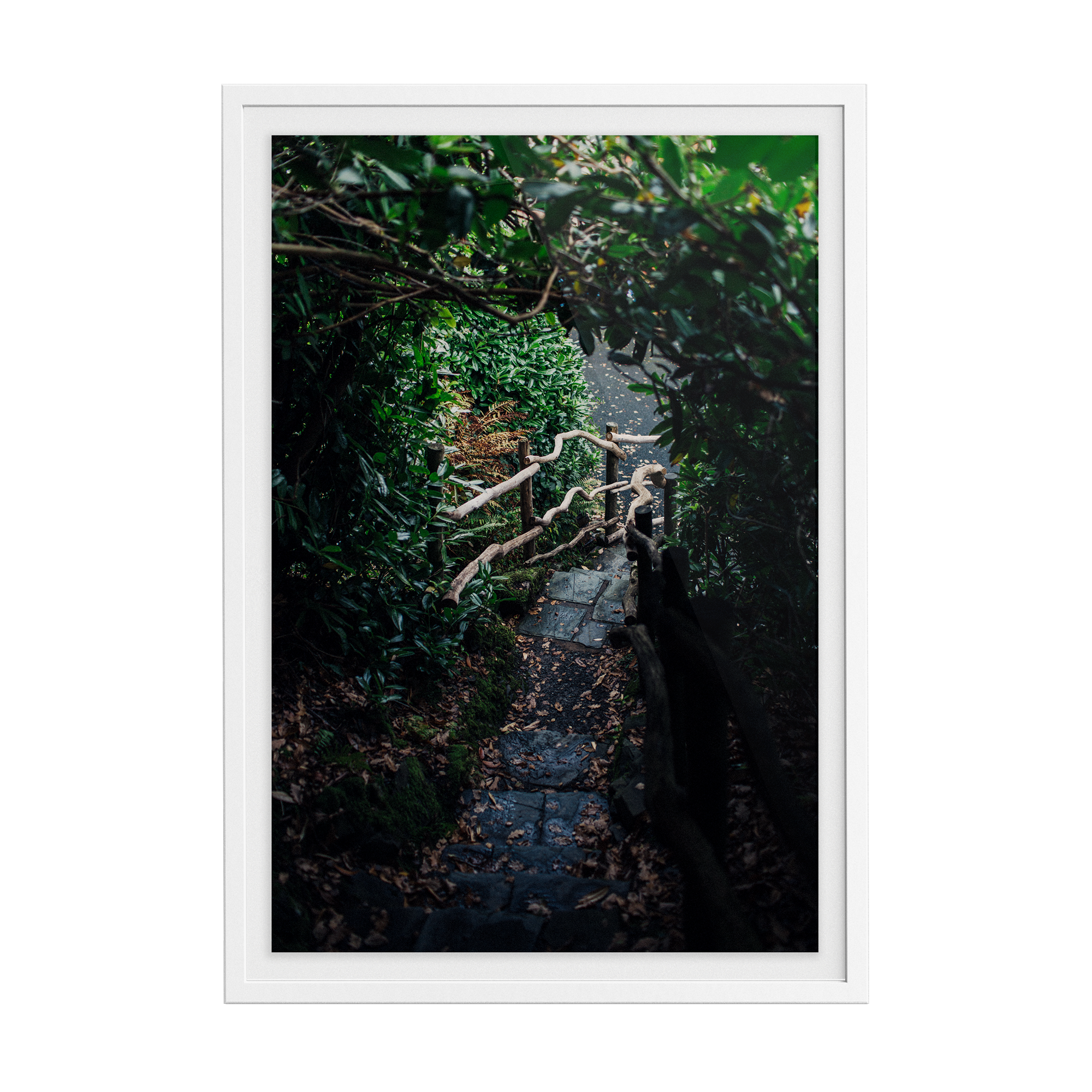 Coniston: Ruskin Steps photographic print
