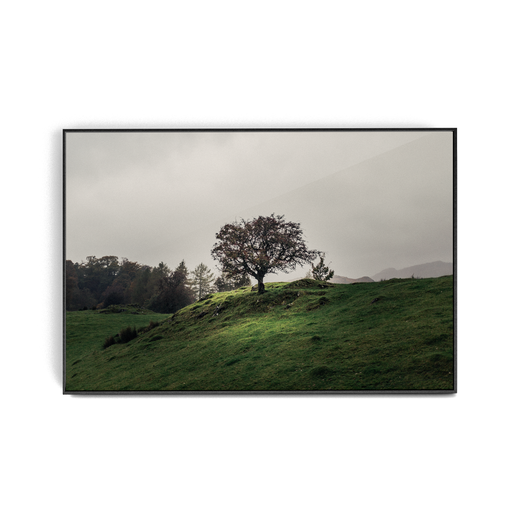 Coniston: Twisturna photographic print