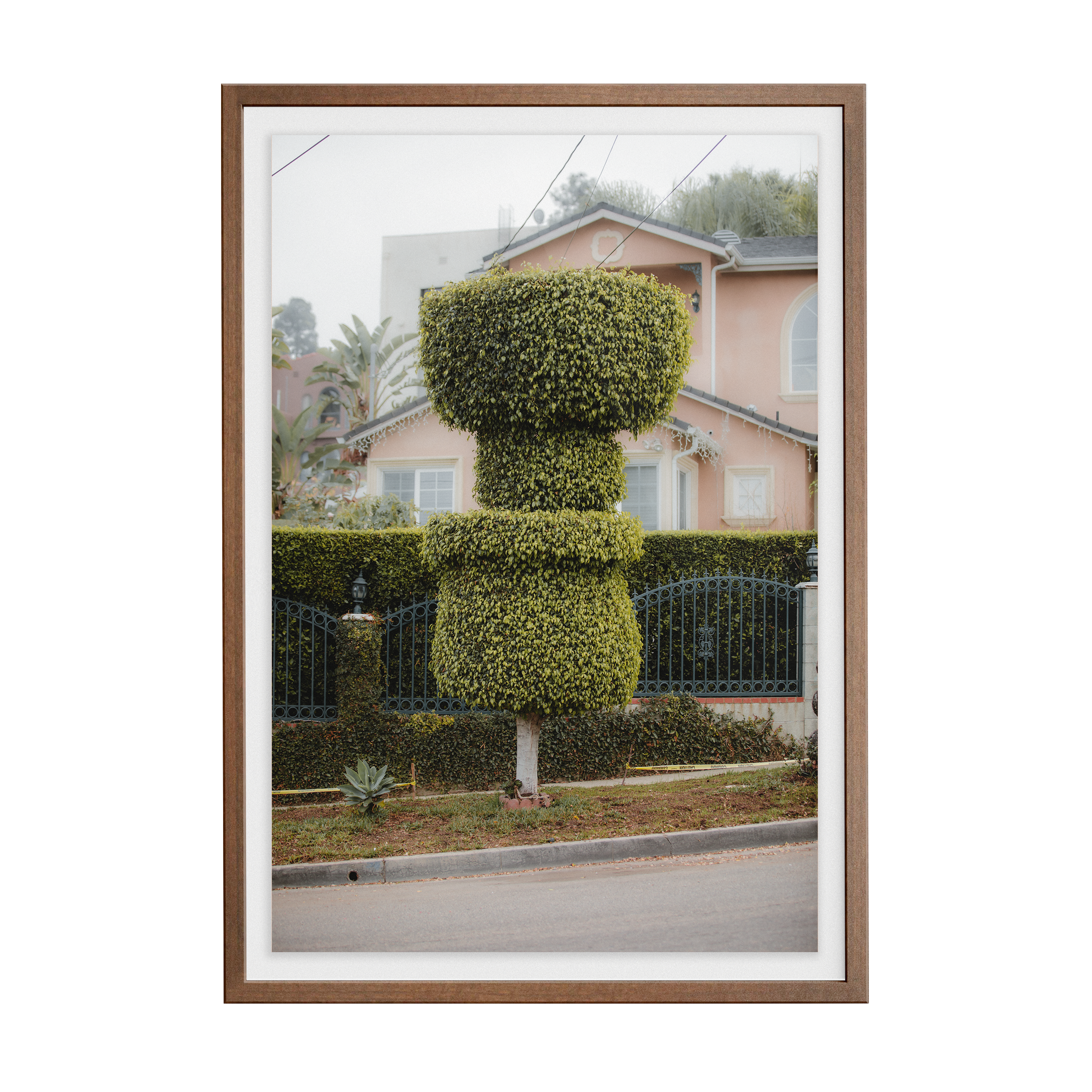 Double Sunday (02) photographic print