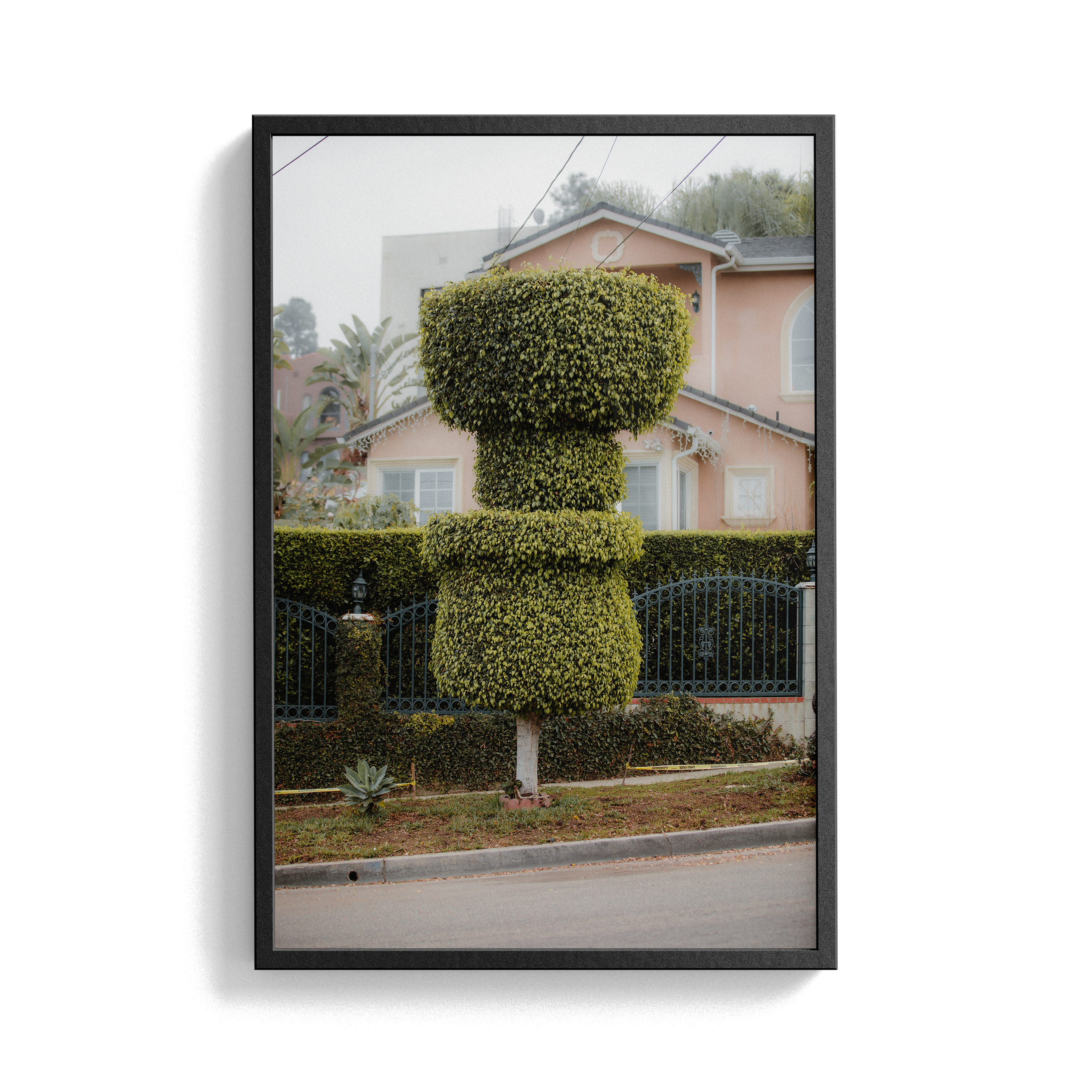 Double Sunday (02) photographic print